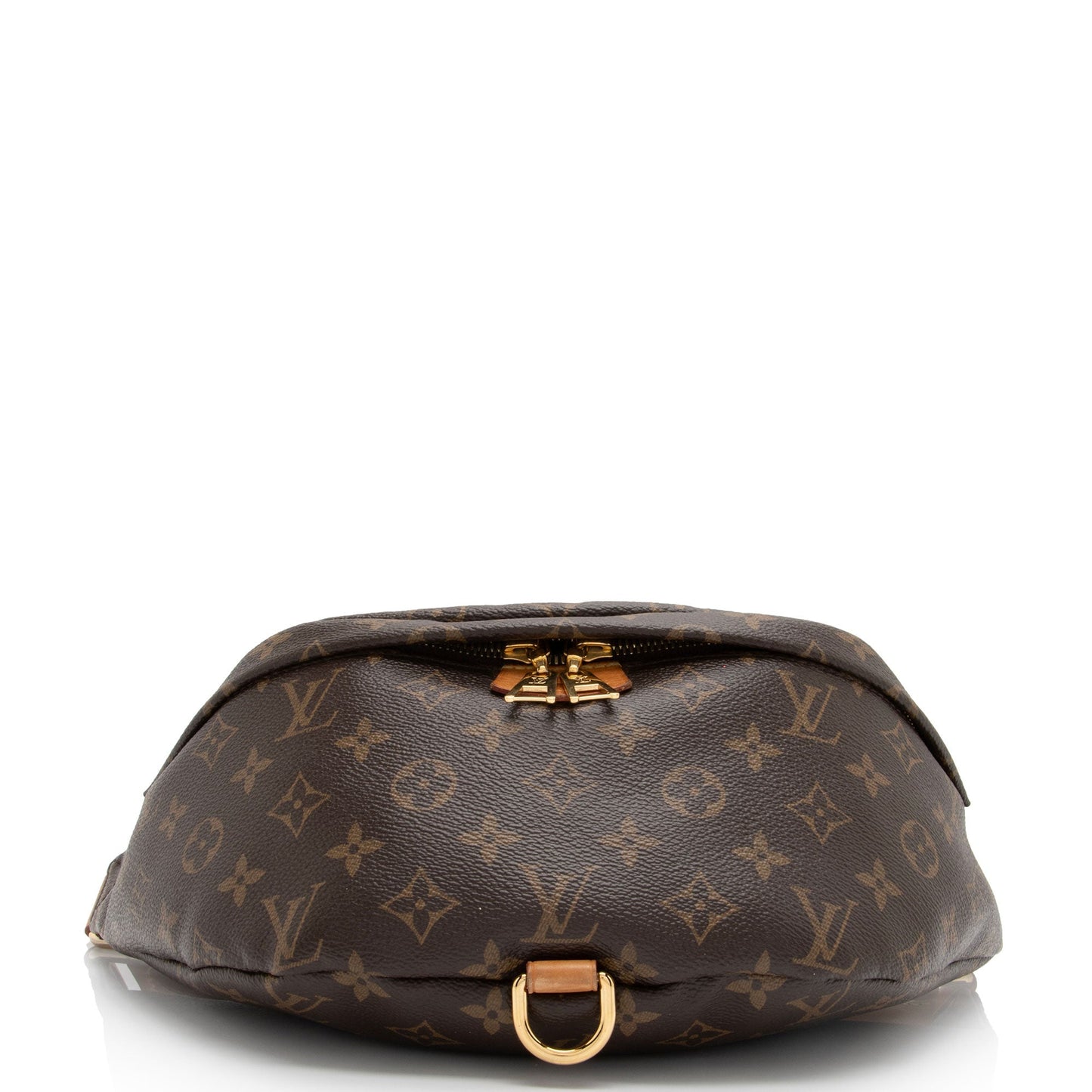 Louis Vuitton Monogram Canvas Bumbag (SHF-BfWtHC)