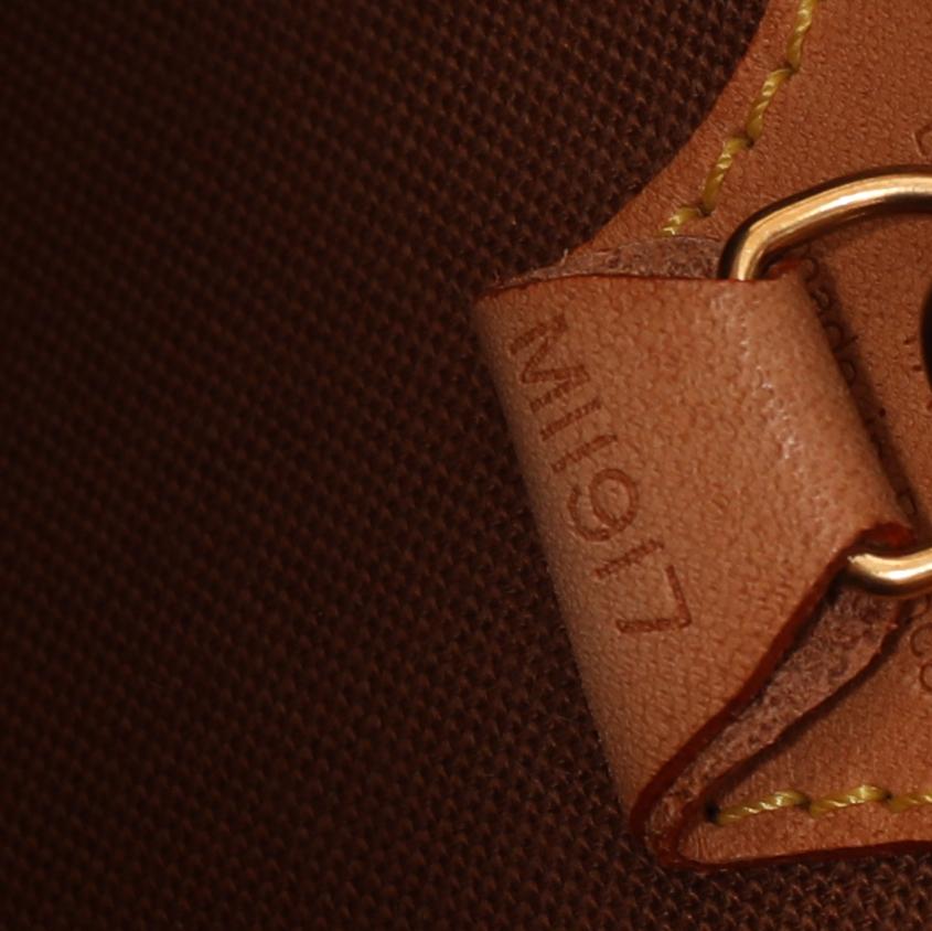 Louis Vuitton Monogram Ellipse PM