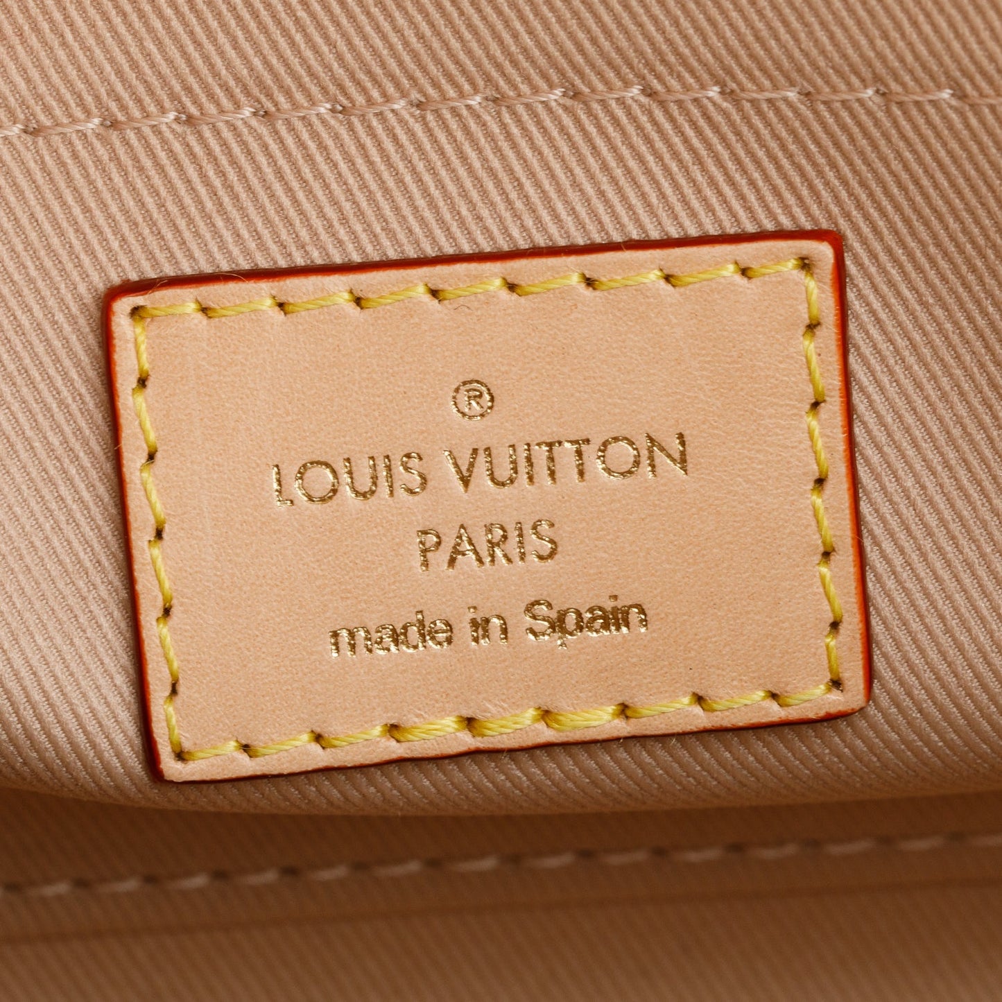 Louis Vuitton Monogram Mini Cluny
