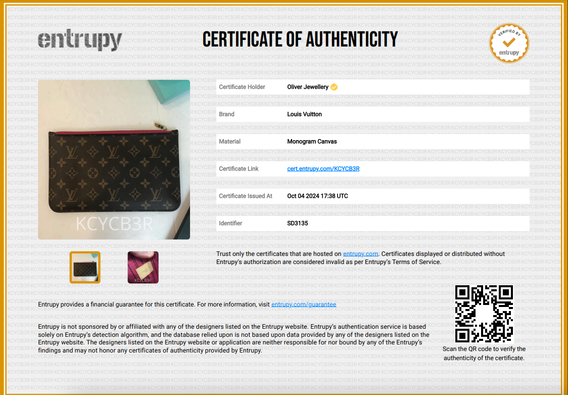 Louis Vuitton Monogram Neverfull Pochette