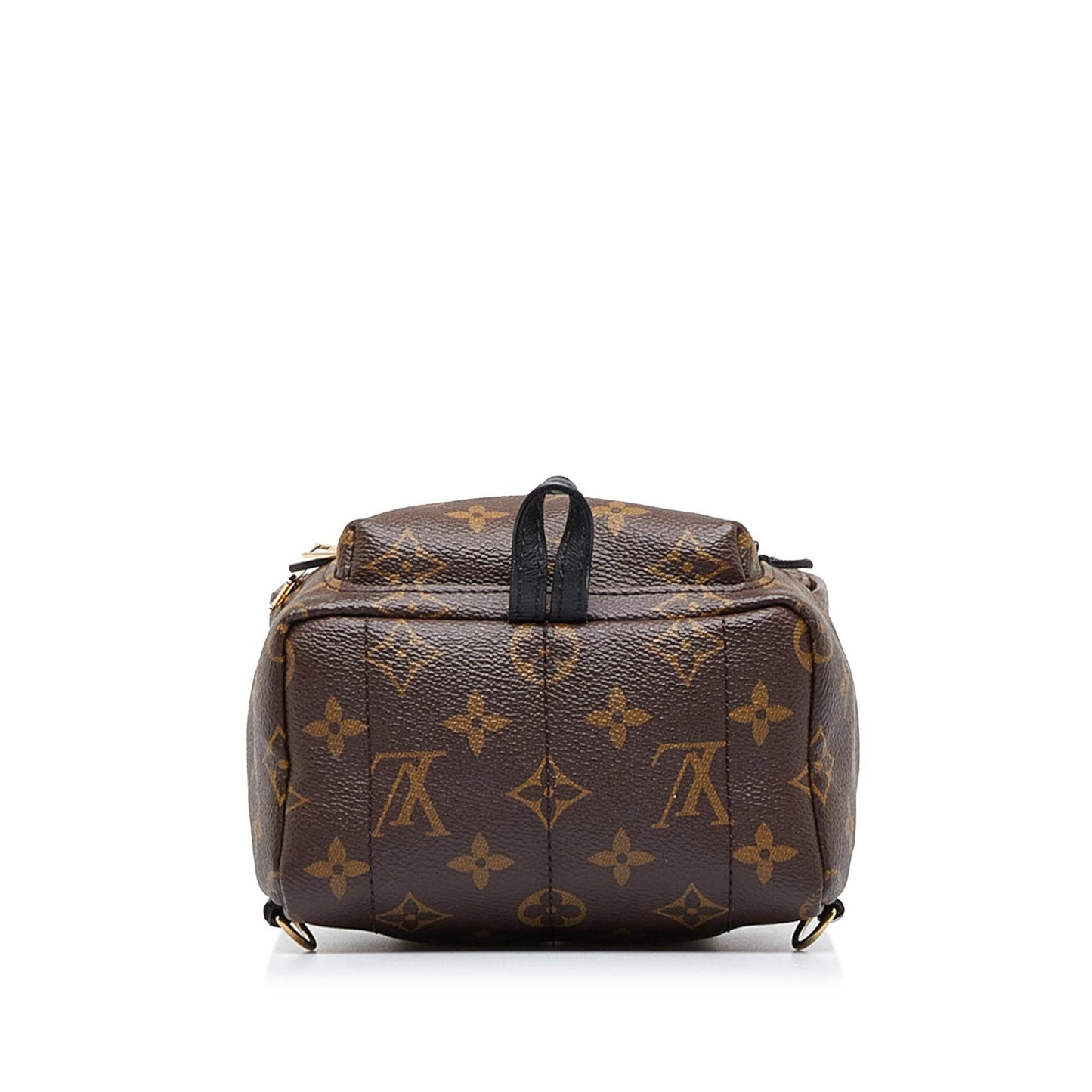 Louis Vuitton Monogram Palm Springs Mini (SHG-2nZ70X)