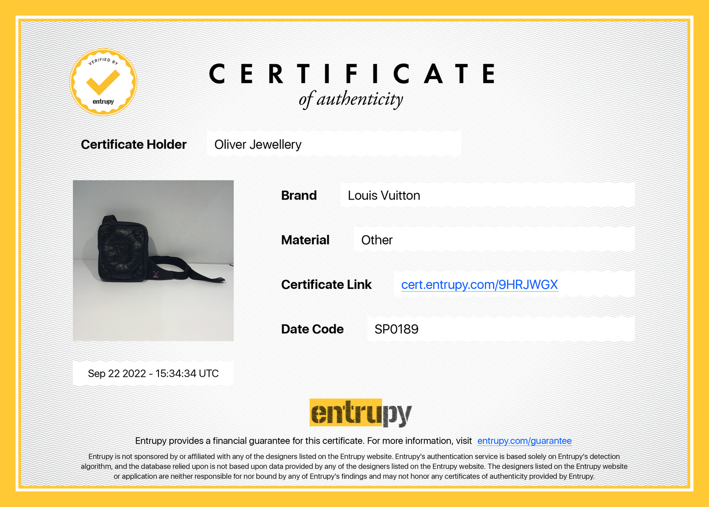 Louis Vuitton Monogram Puffer Asymmetrical Sling Bag