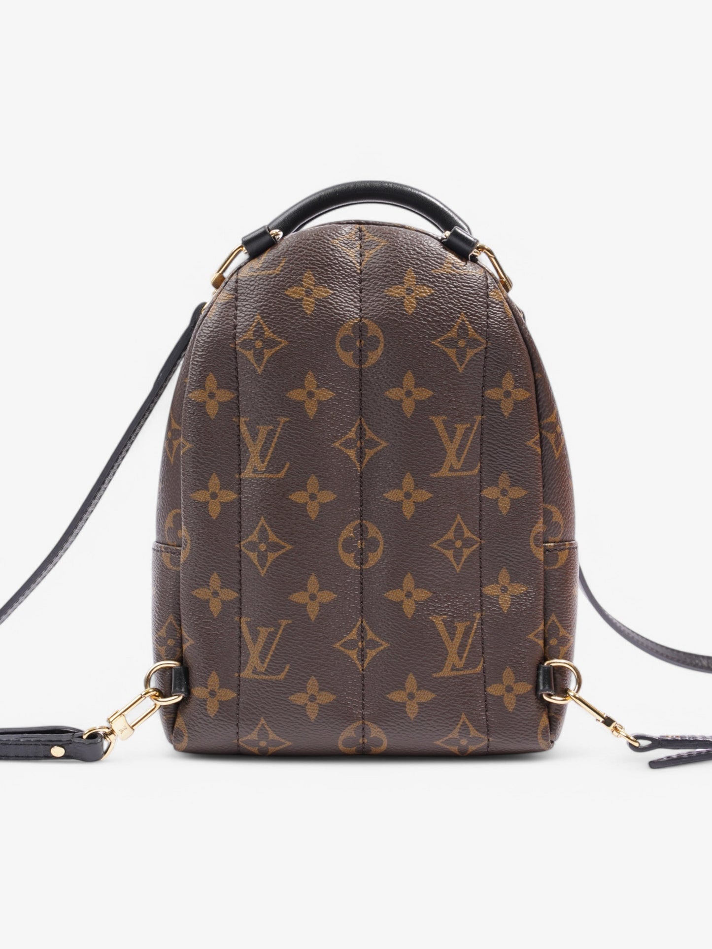 Louis Vuitton Mini Palm Springs Monogram Coated Canvas Mini