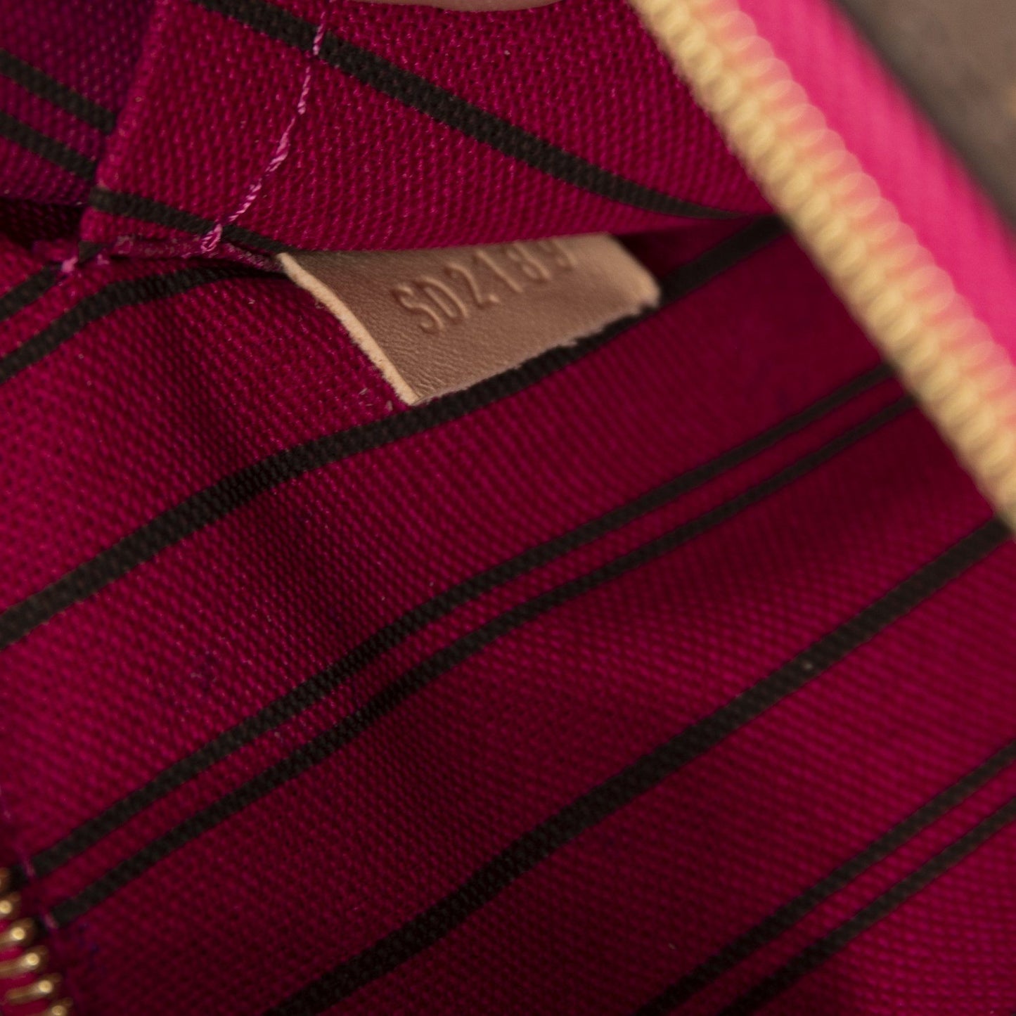 Louis Vuitton 2019 Monogram Neverfull Pochette