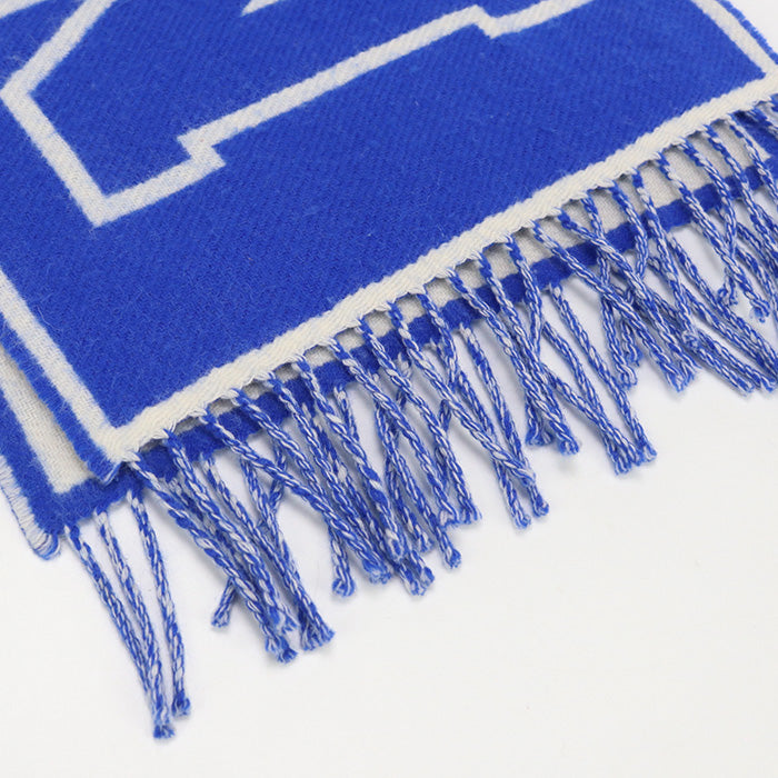 LOUIS VUITTON M71318 muffler Echarpe City Scarf wool,cashmere blue mens