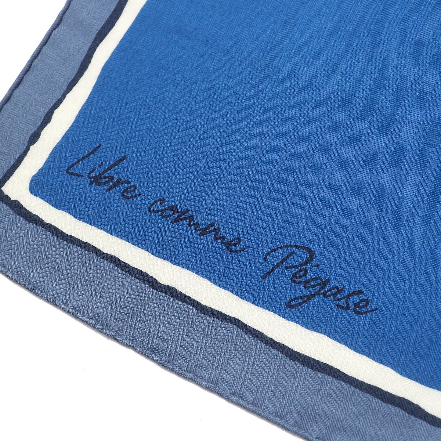 HERMES scarf Main: 70% cashmere, Main: 30% silk blue Libre Comme Pegase Women