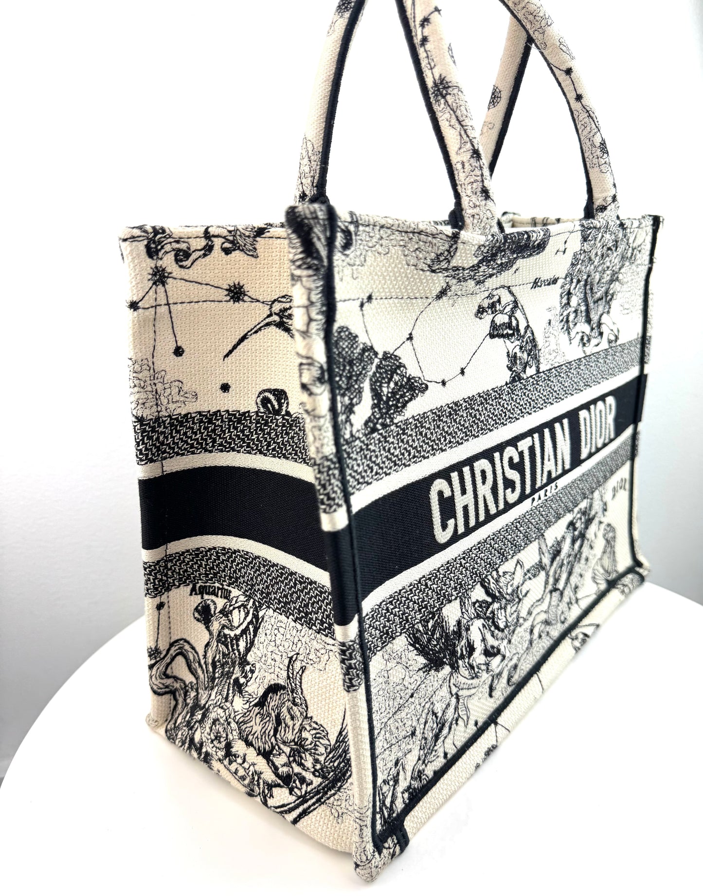 Dior Canvas Embroidered Small Toile De Jouy Book Tote Latte
