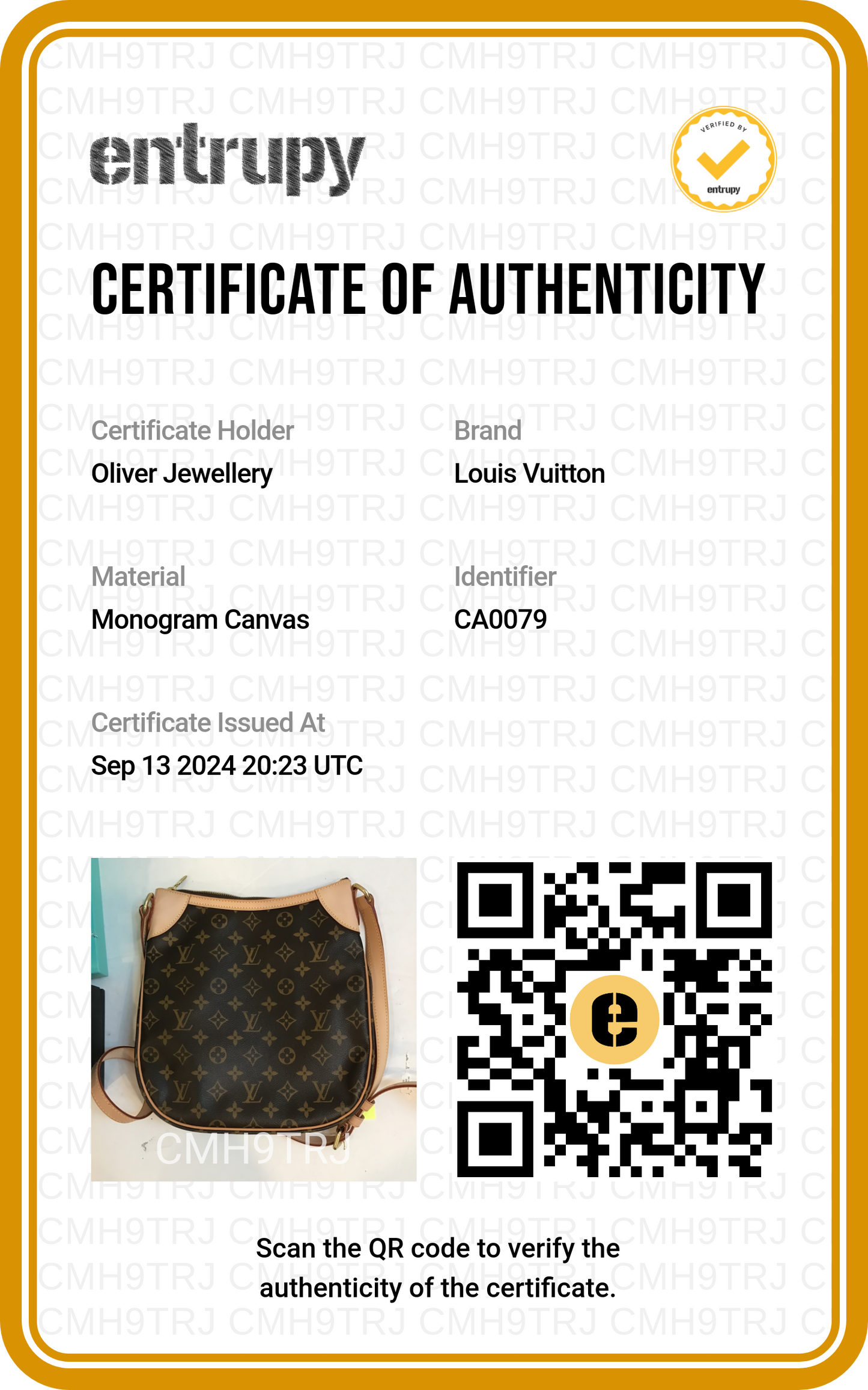 Louis Vuitton Monogram Odeon MM