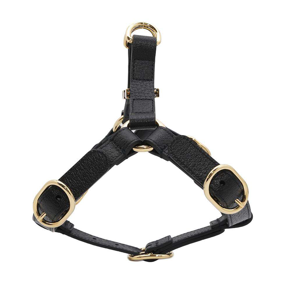 GUCCI Pet Harnesses Black692963 Leather Size S