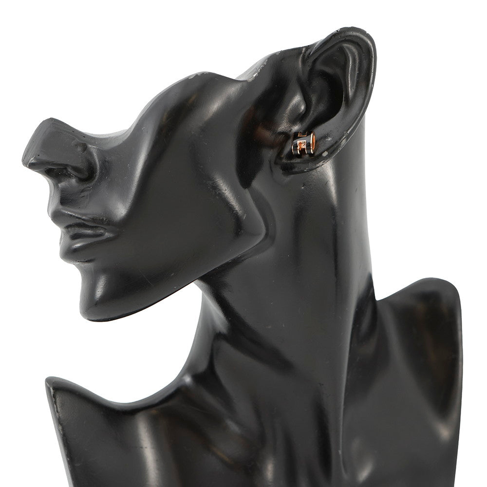 HERMES Pop Ash Mini Earrings Size Mini Black Metal