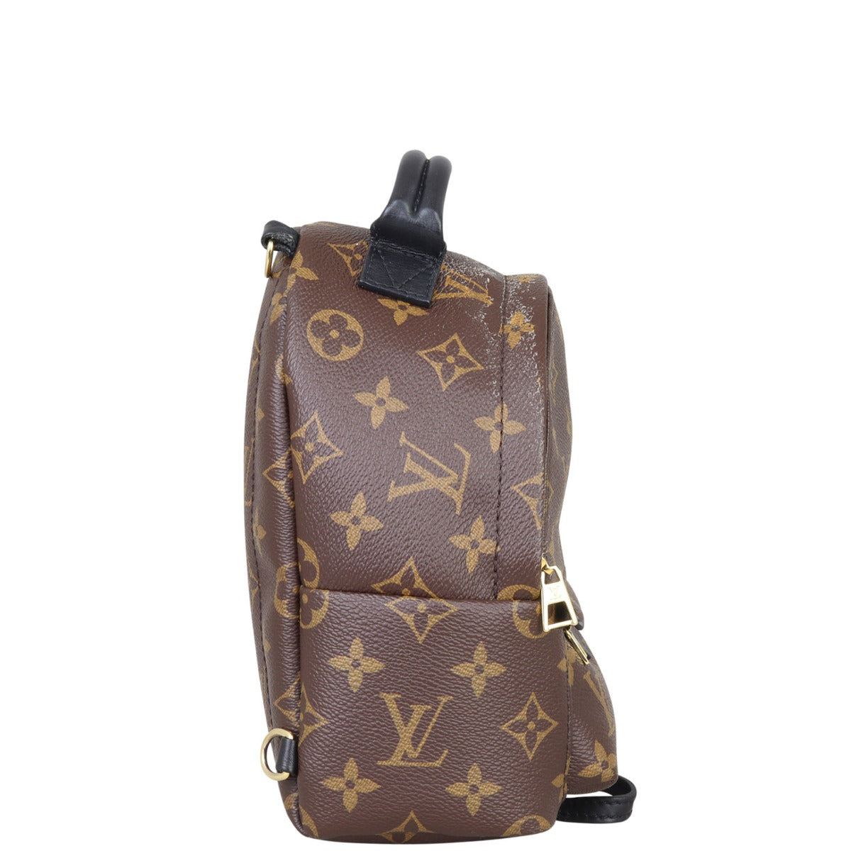 Louis Vuitton Palm Springs Mini Backpack Monogram