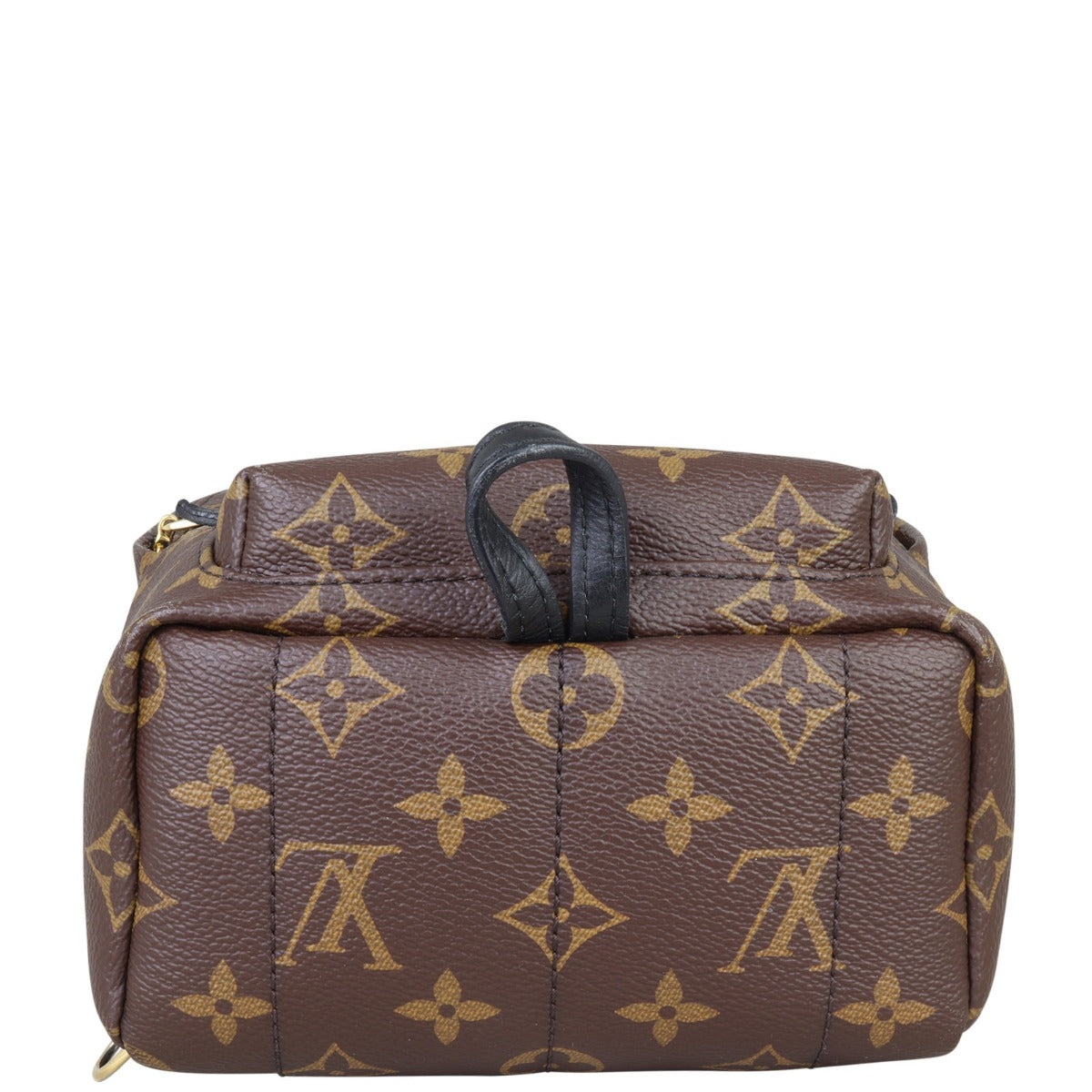 Louis Vuitton Palm Springs Mini Backpack Monogram
