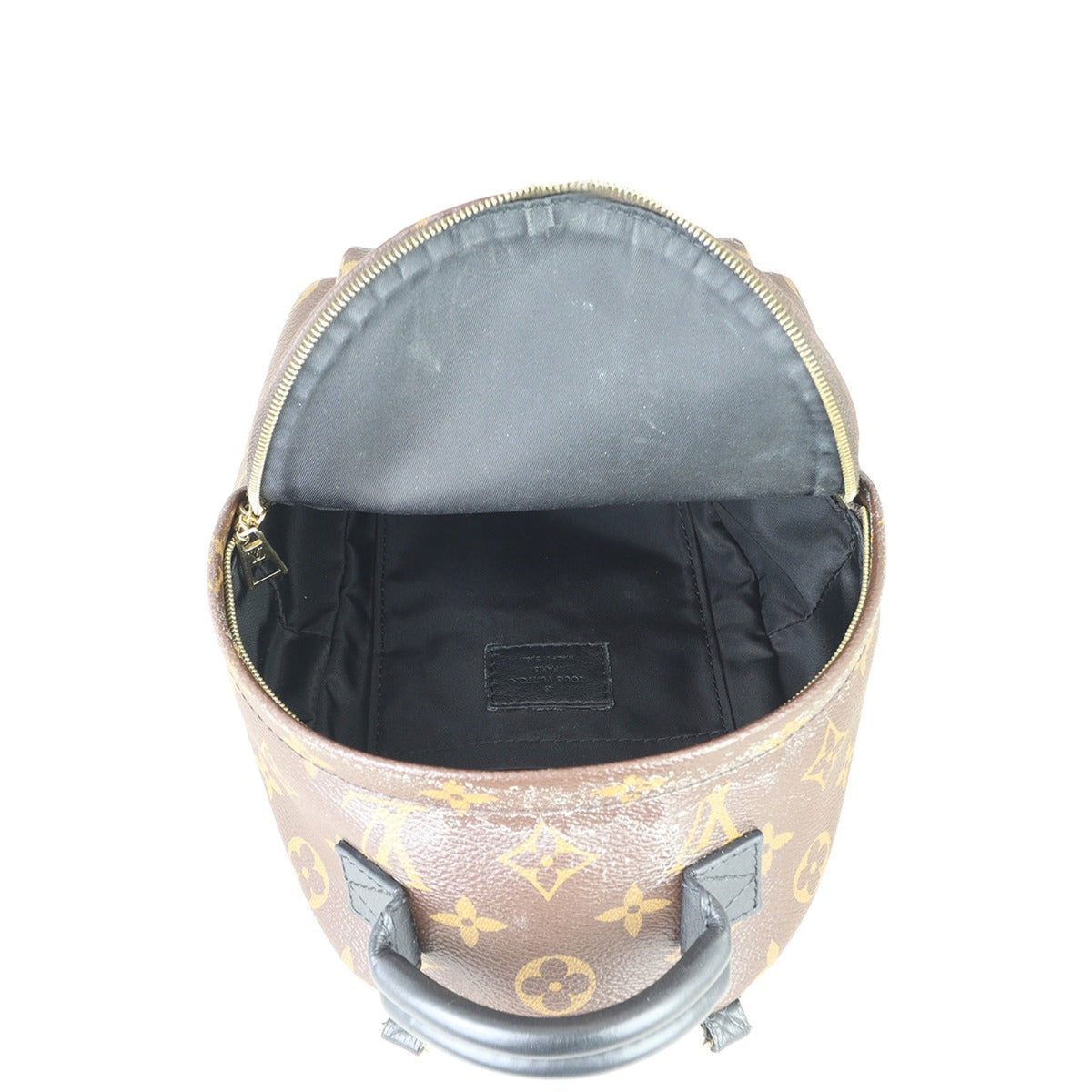 Louis Vuitton Palm Springs Mini Backpack Monogram