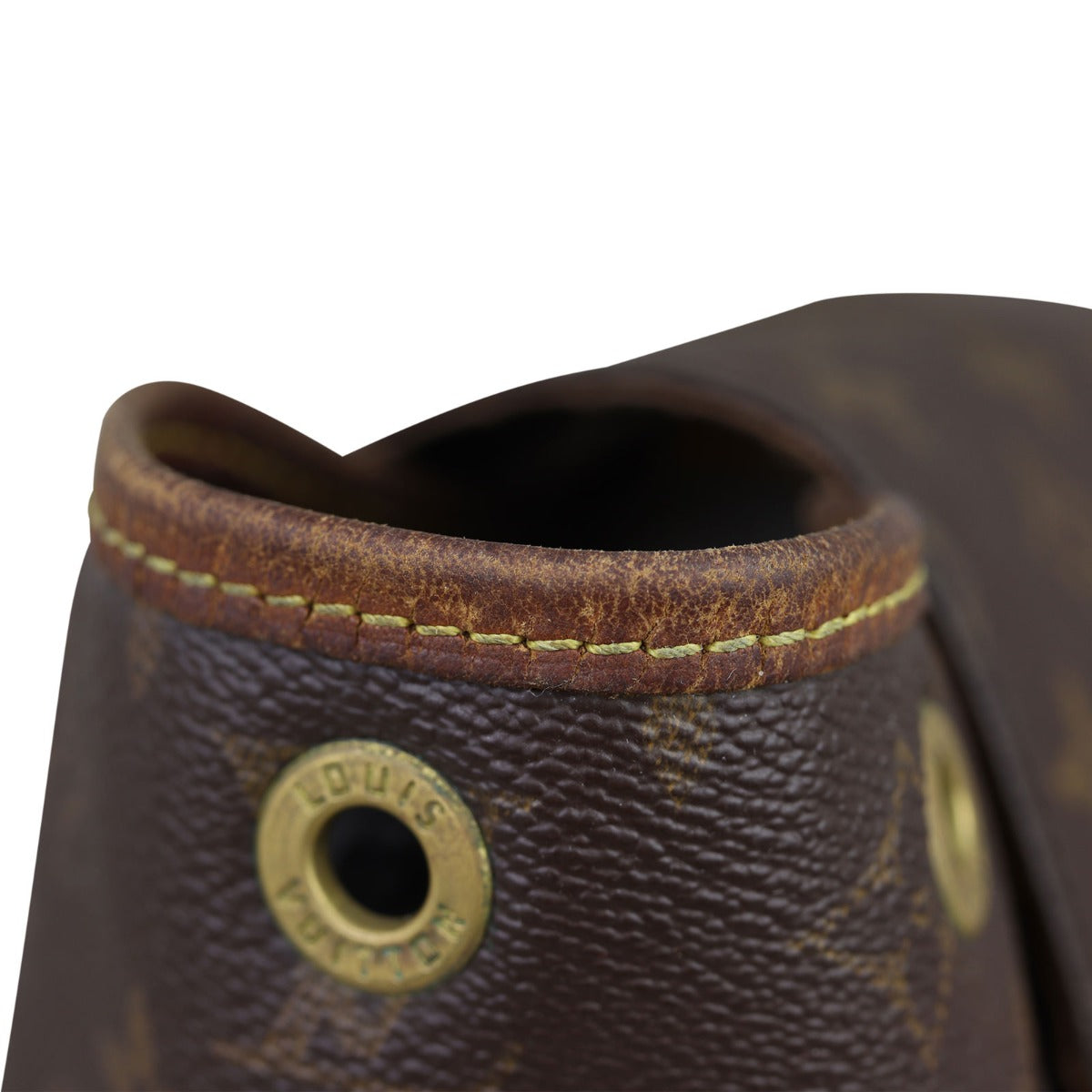 Louis Vuitton Montsouris MM Monogram Backpack