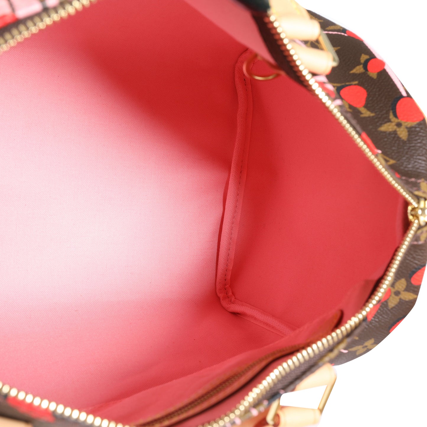 Louis Vuitton Louis Vuitton Limited Edition Sugar & Poppy Jungle Dots Monogram Speedy 30