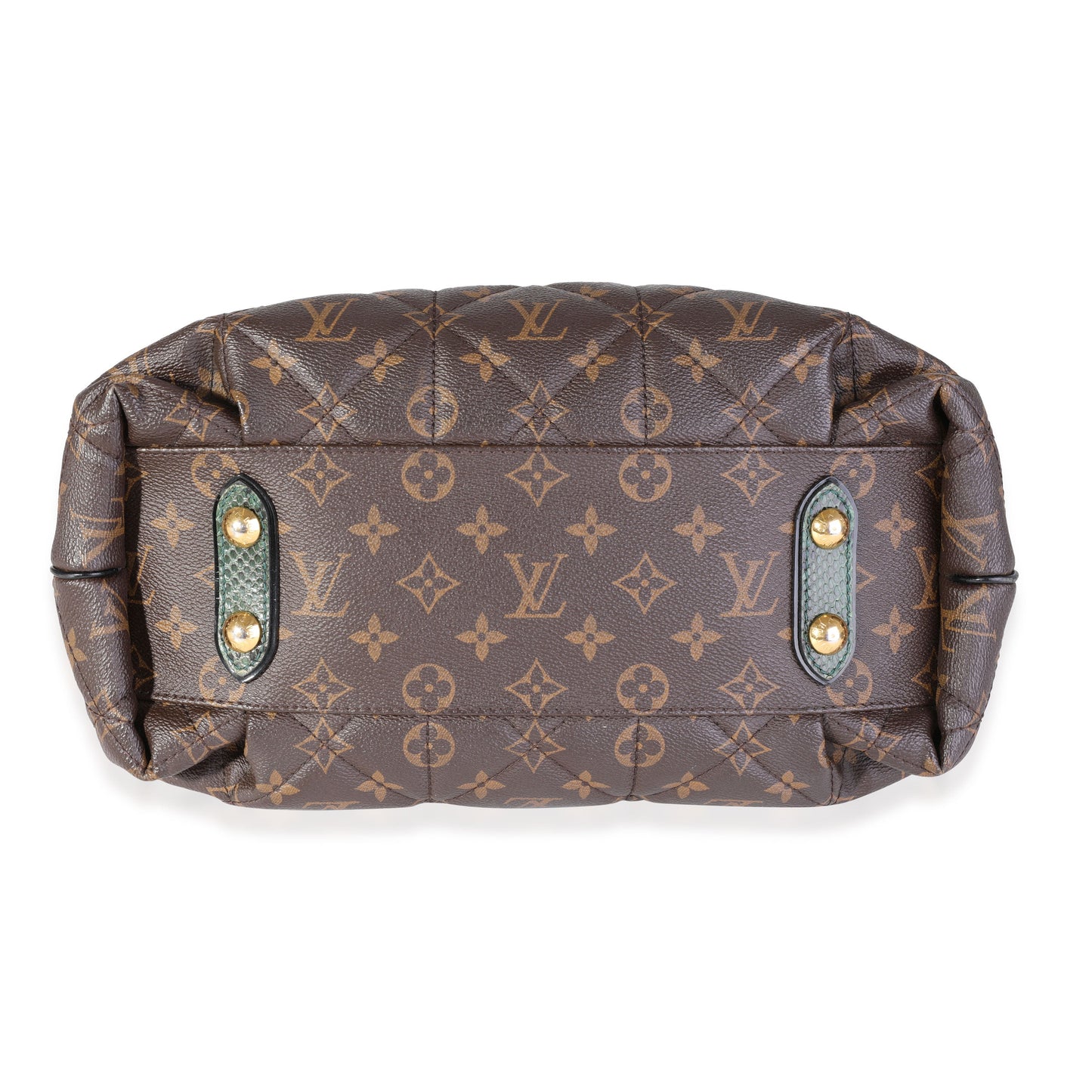 Louis Vuitton Louis Vuitton Monogram Canvas & Python Etoile Exotique Bag