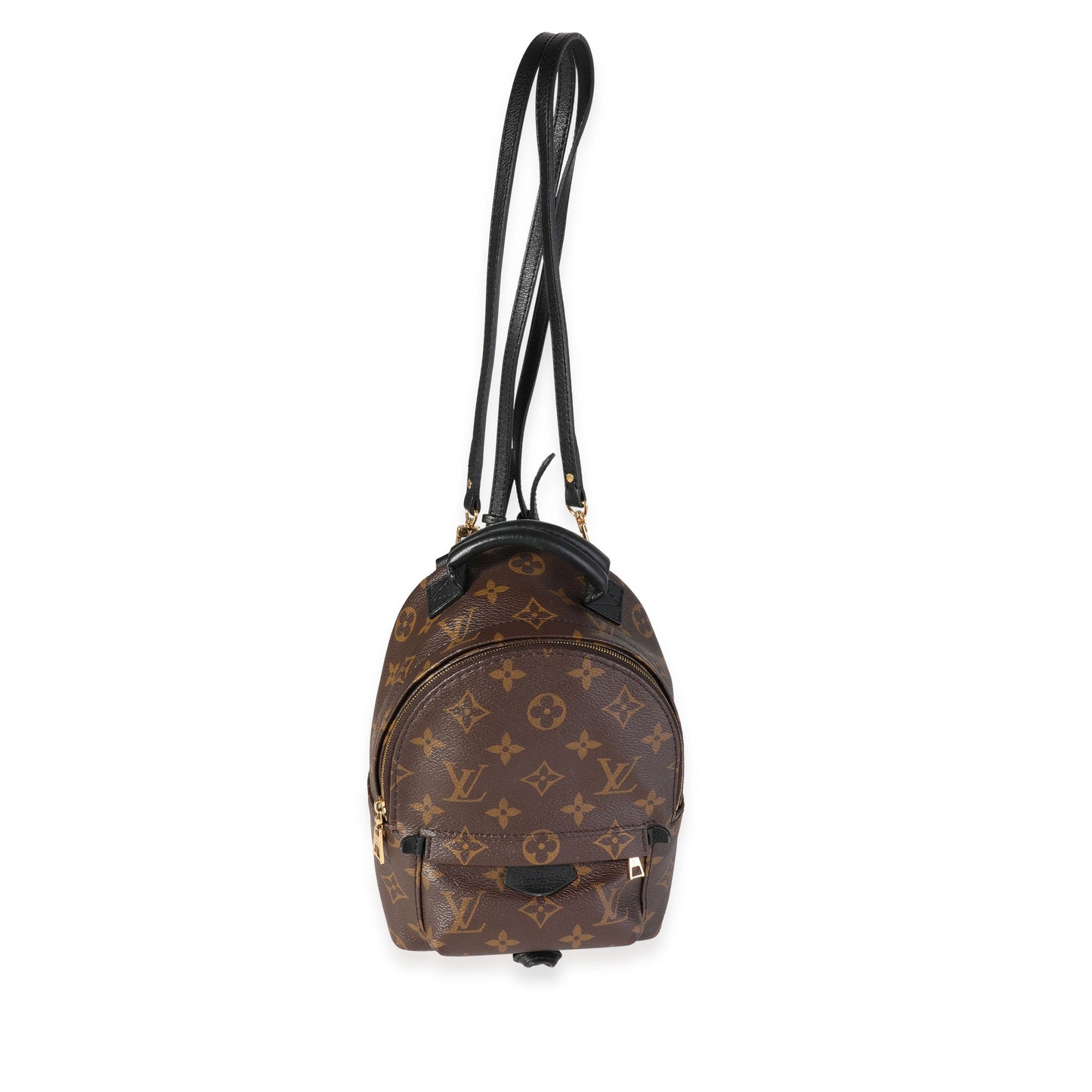 Louis Vuitton Louis Vuitton Monogram Canvas Palm Springs Mini Backpack
