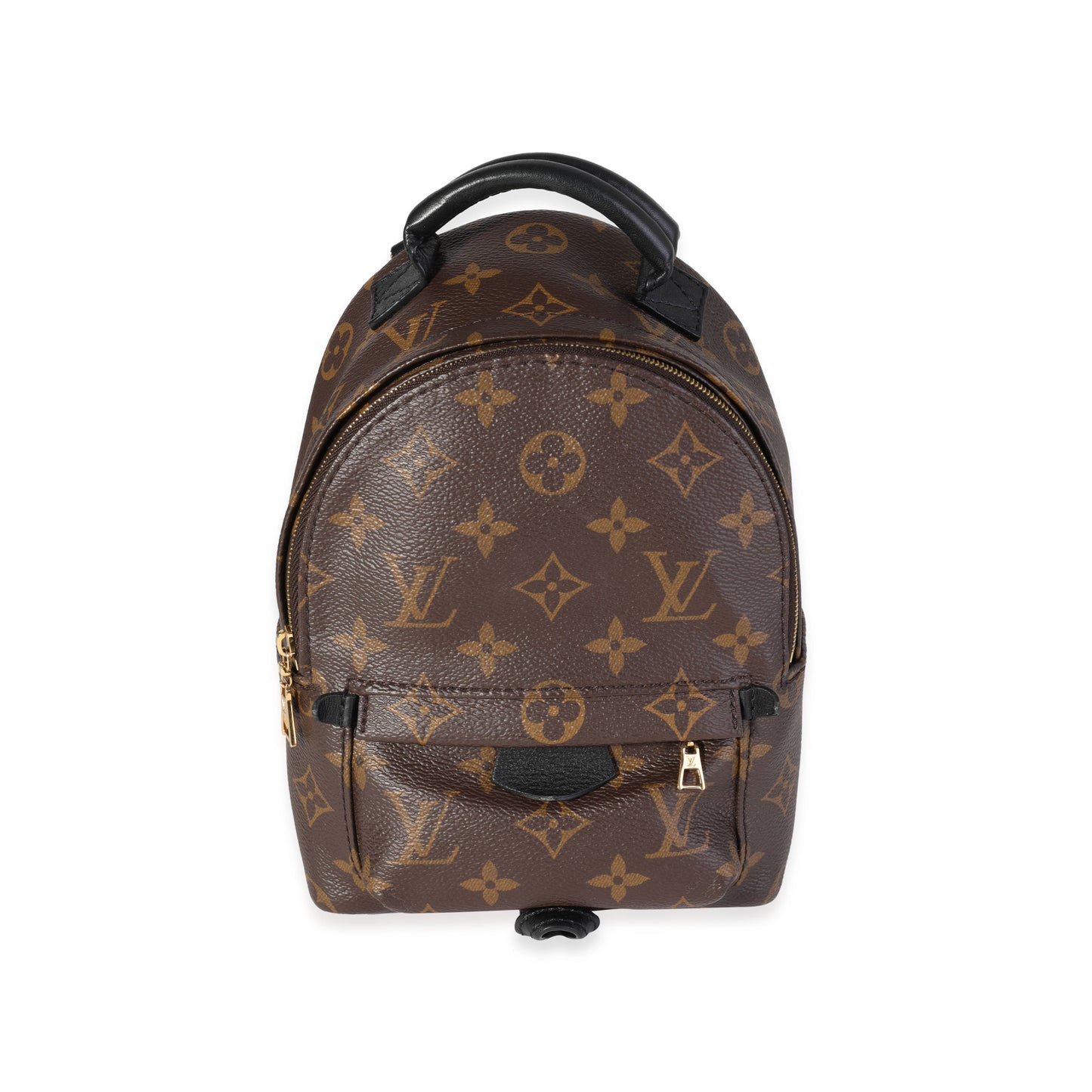 Louis Vuitton Louis Vuitton Monogram Canvas Palm Springs Mini Backpack