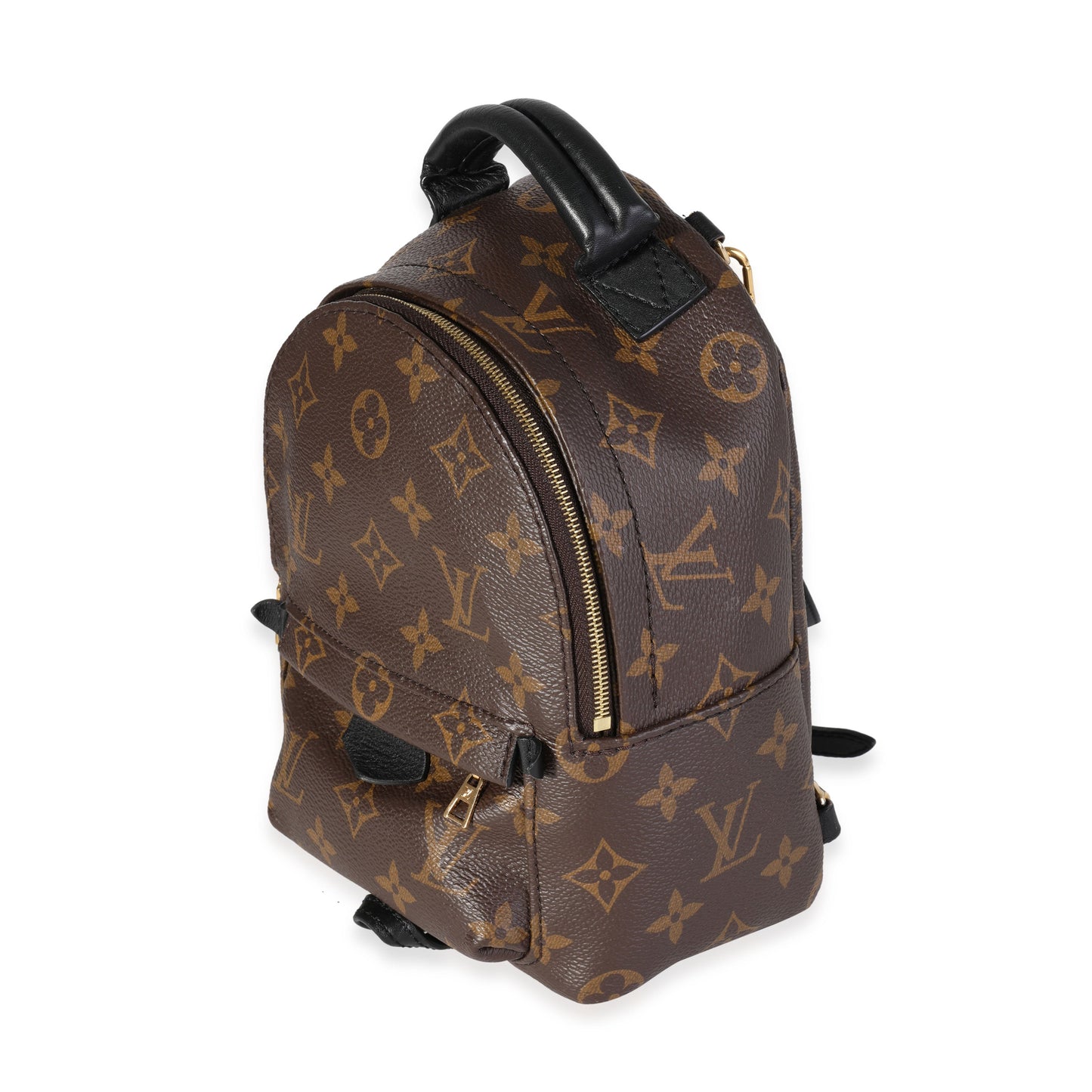 Louis Vuitton Louis Vuitton Monogram Canvas Palm Springs Mini Backpack