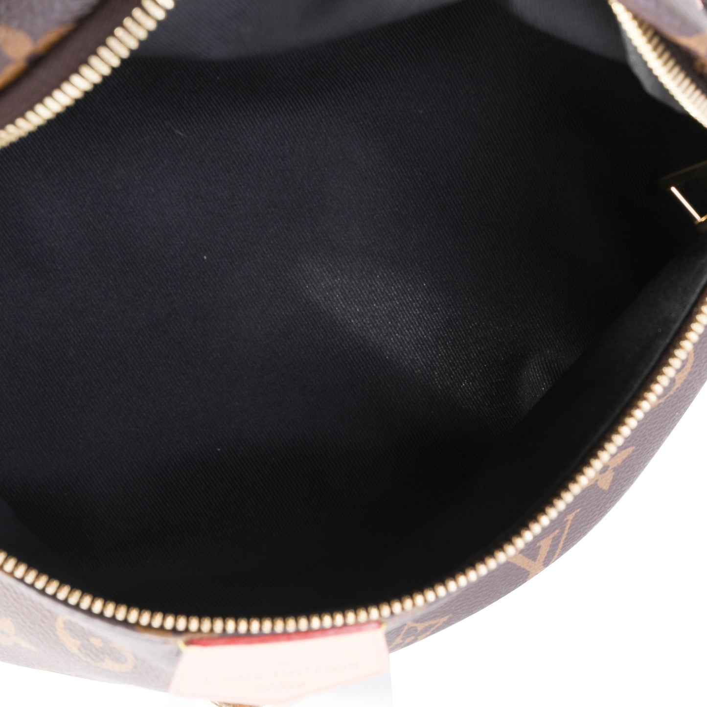 Louis Vuitton Louis Vuitton Monogram Canvas Bumbag