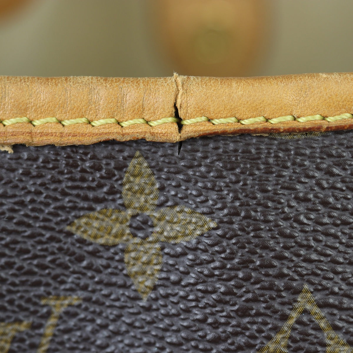 Louis Vuitton Galliera PM Monogram