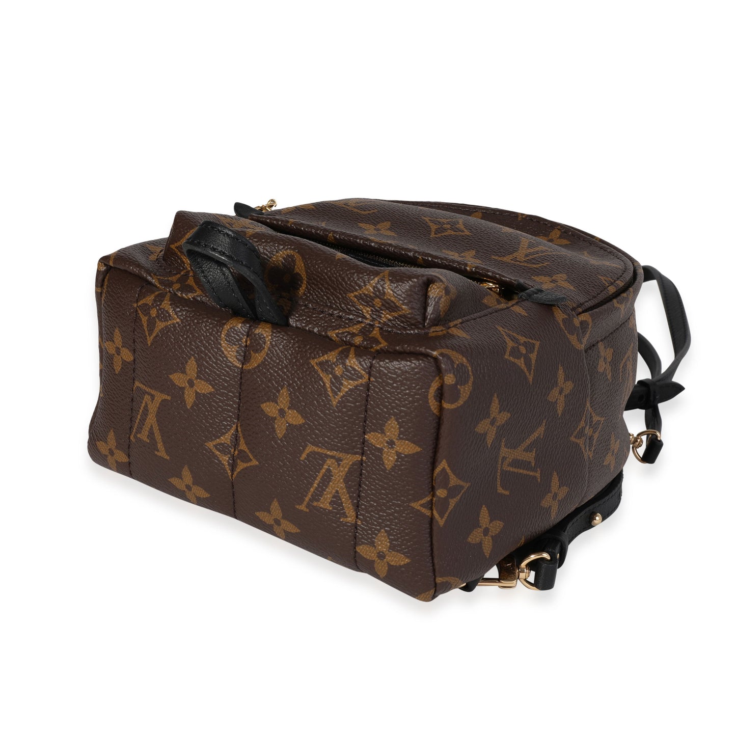 Louis Vuitton Louis Vuitton Monogram Canvas Palm Springs Mini Backpack