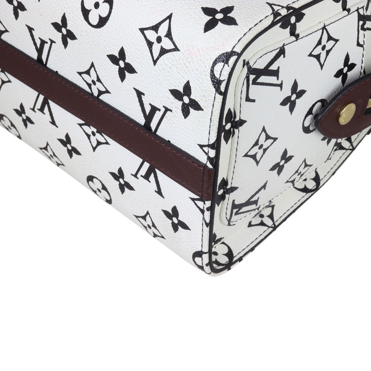 Louis Vuitton Speedy Amazon PM Monogram