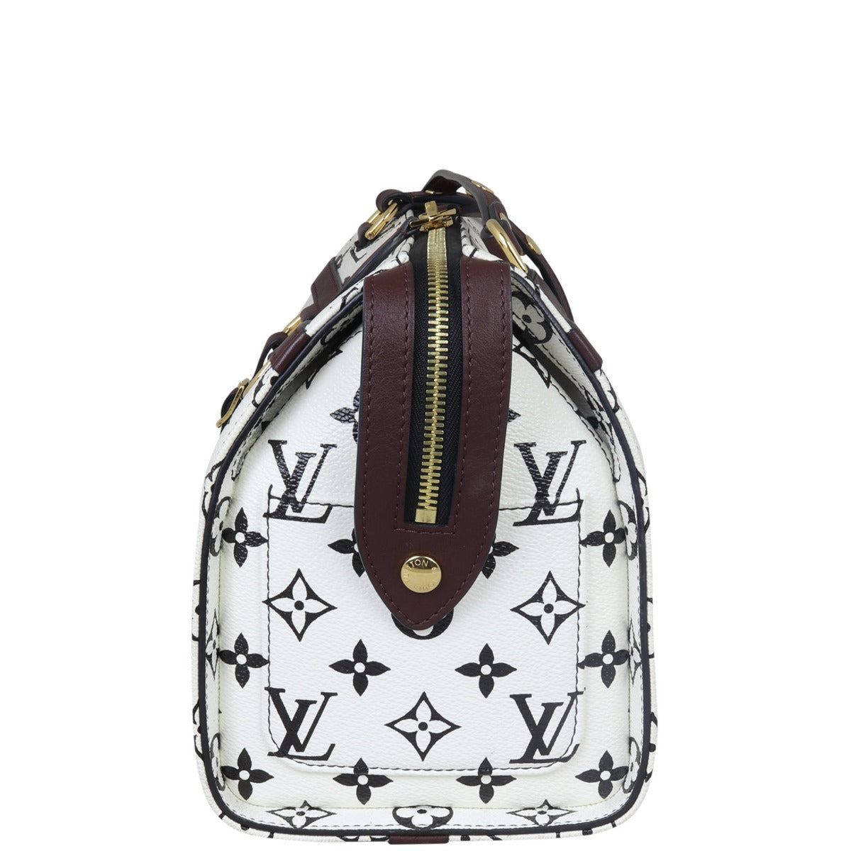 Louis Vuitton Speedy Amazon PM Monogram