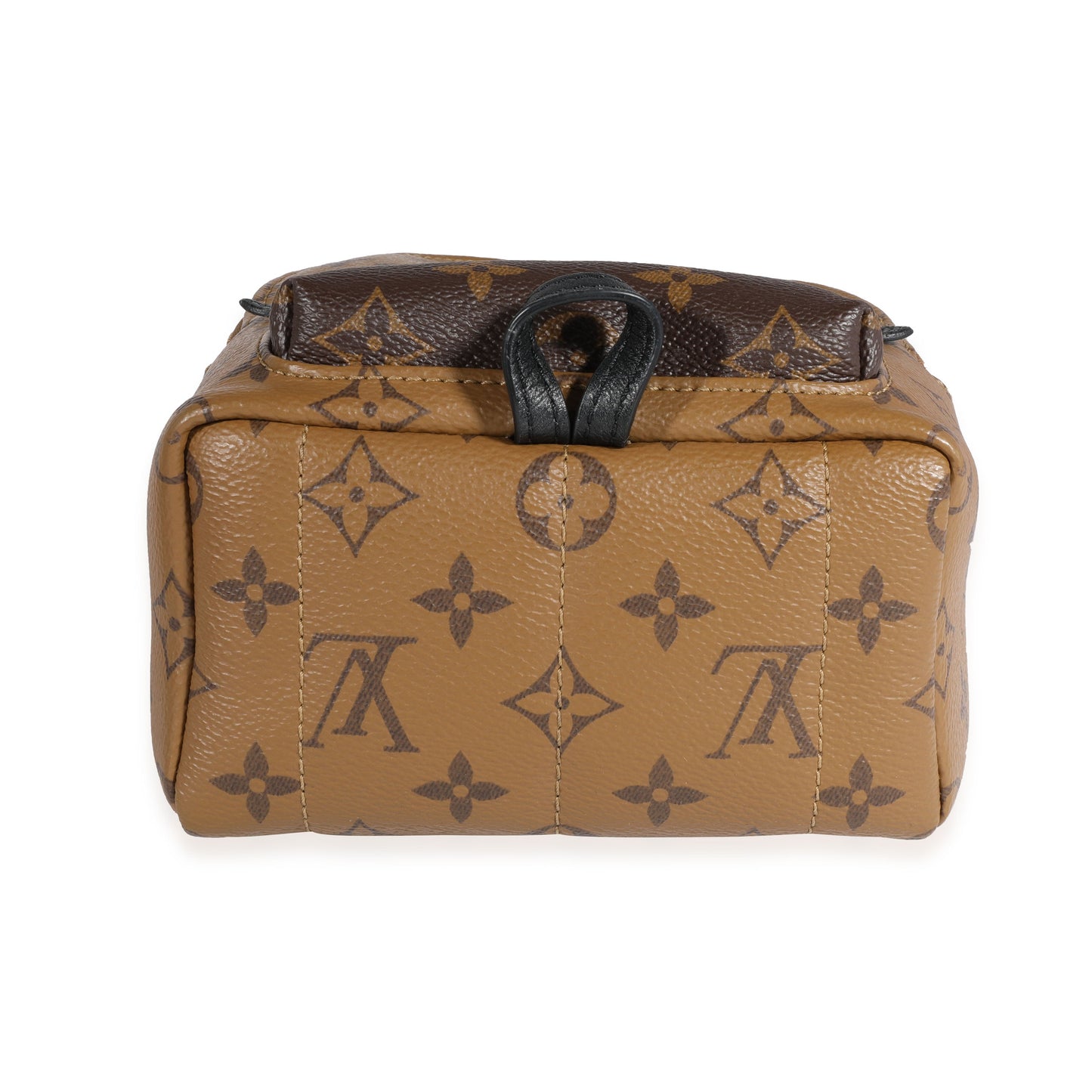 Louis Vuitton Louis Vuitton Monogram Reverse Palm Springs Mini Backpack