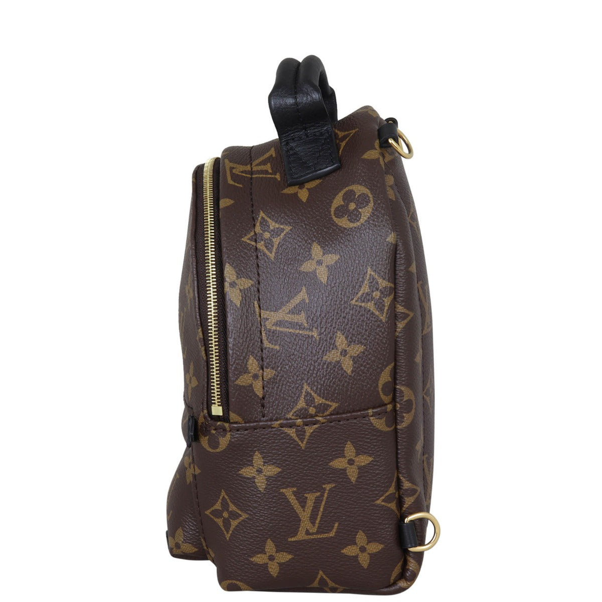 Louis Vuitton Palm Springs Mini Backpack Monogram