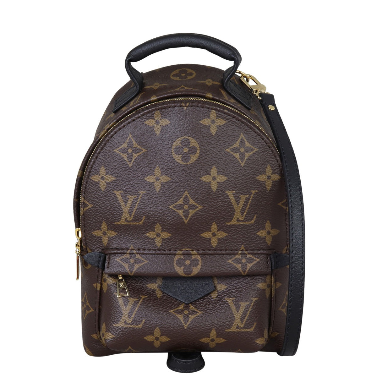Louis Vuitton Palm Springs Mini Backpack Monogram