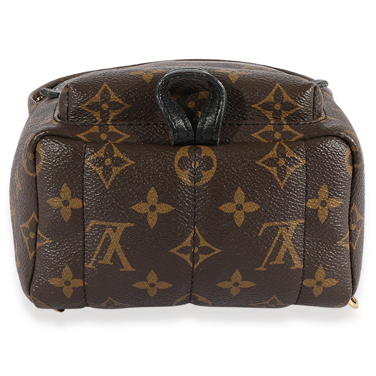 Louis Vuitton Louis Vuitton Monogram Canvas Palm Springs Mini Backpack
