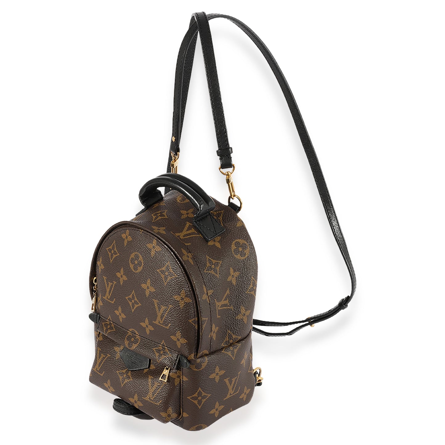 Louis Vuitton Louis Vuitton Monogram Canvas Palm Springs Mini Backpack