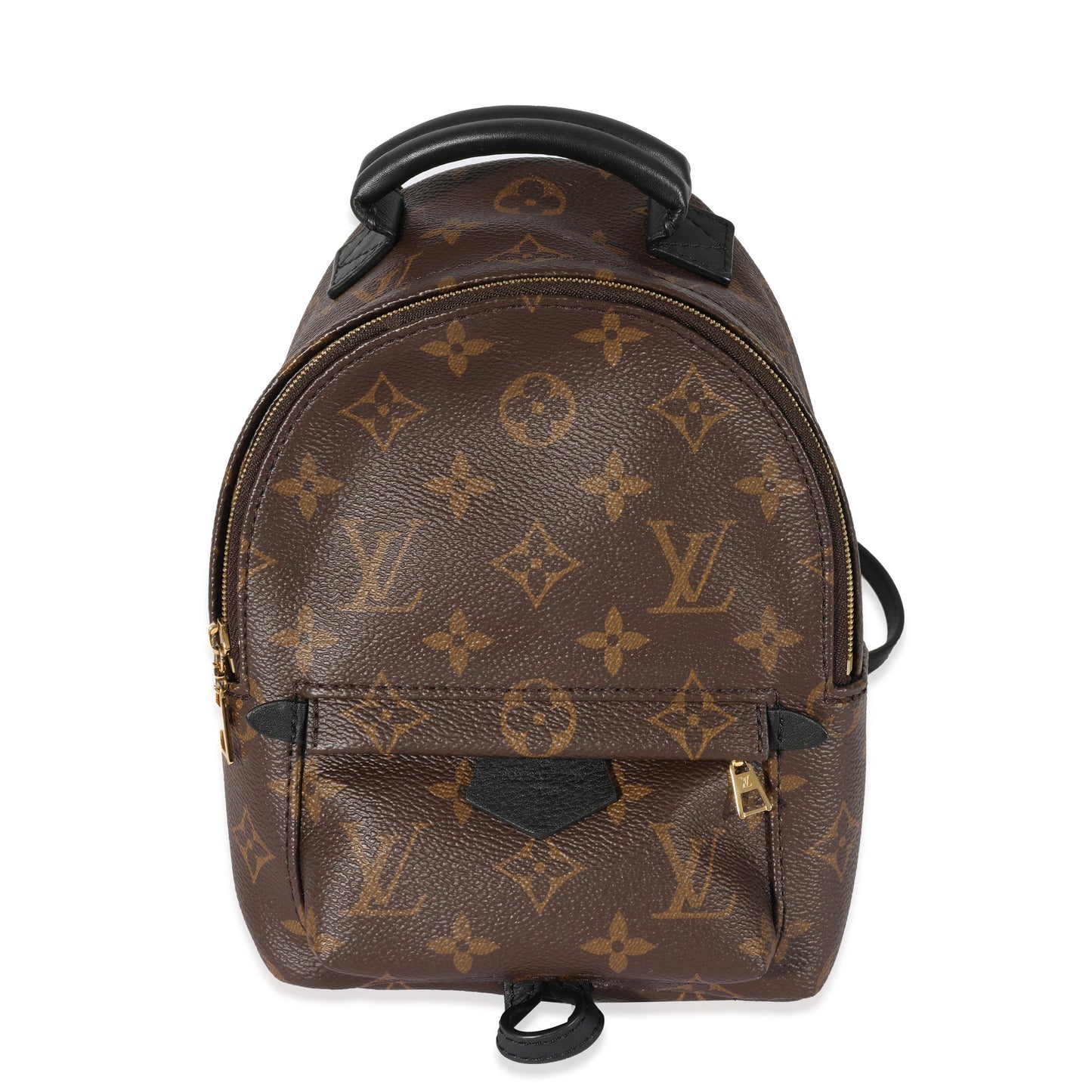 Louis Vuitton Louis Vuitton Monogram Canvas Palm Springs Mini Backpack