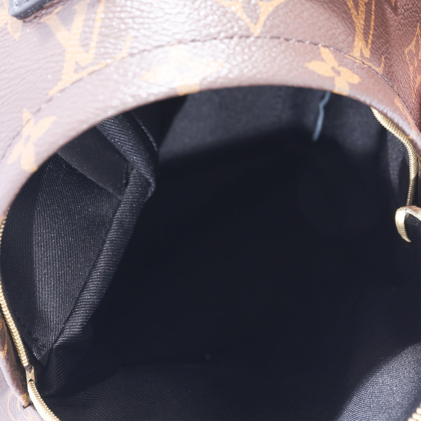 Louis Vuitton Louis Vuitton Monogram Canvas Mini Palm Springs