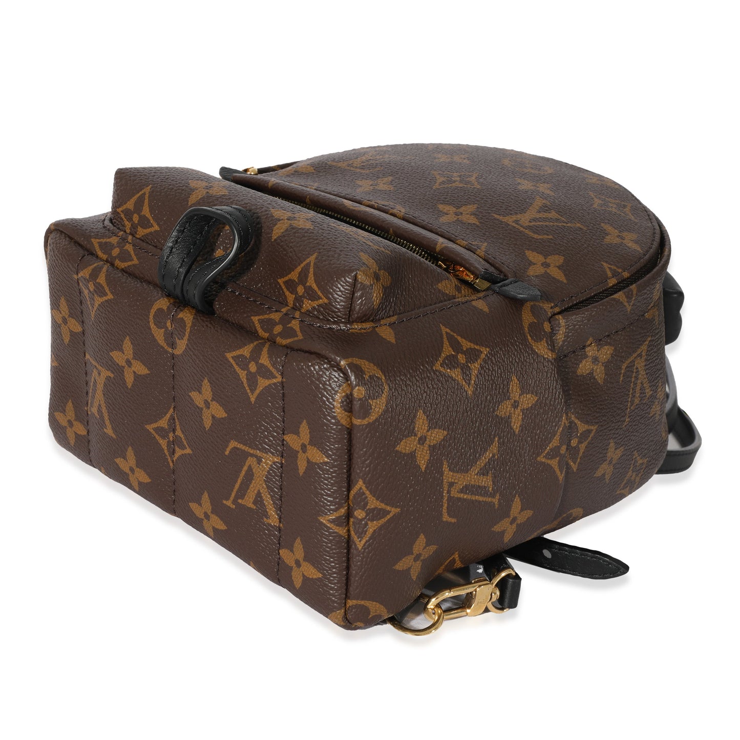 Louis Vuitton Louis Vuitton Monogram Canvas Mini Palm Springs