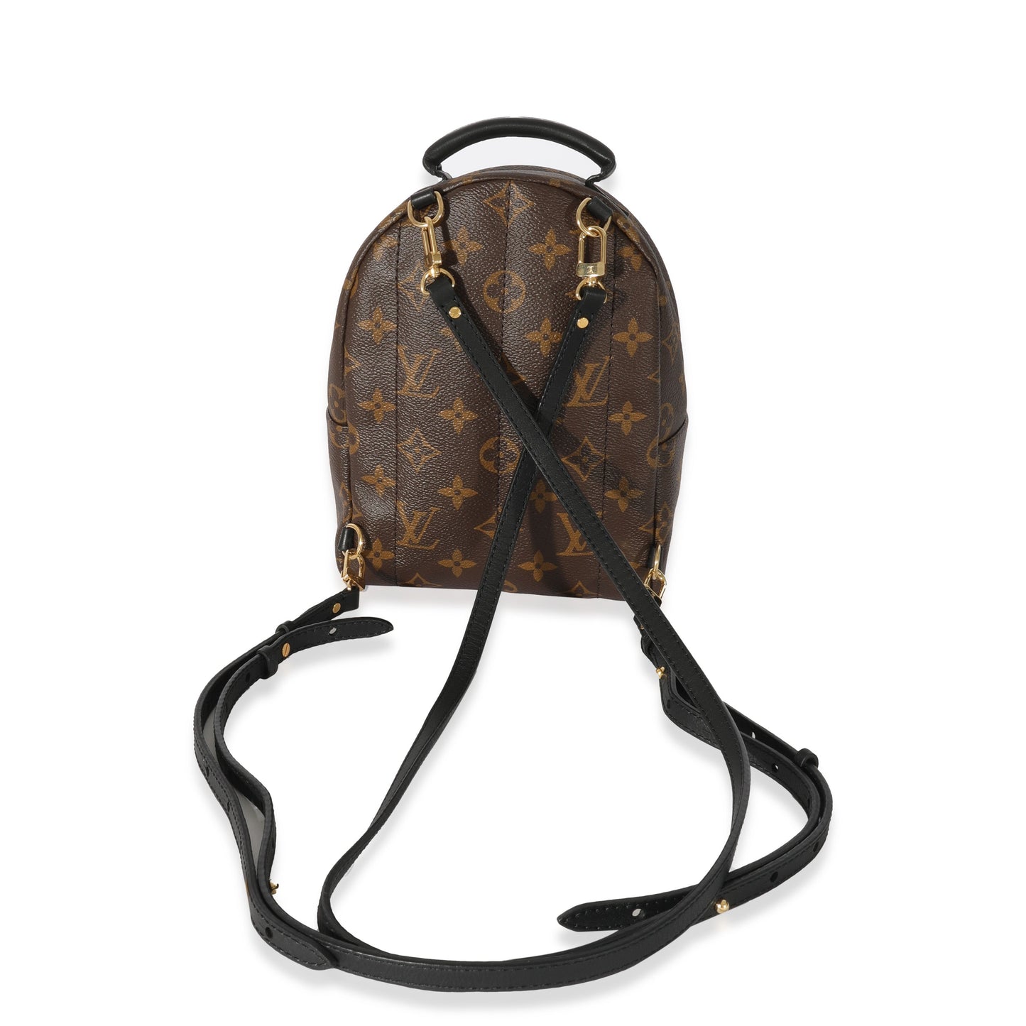 Louis Vuitton Louis Vuitton Monogram Canvas Mini Palm Springs
