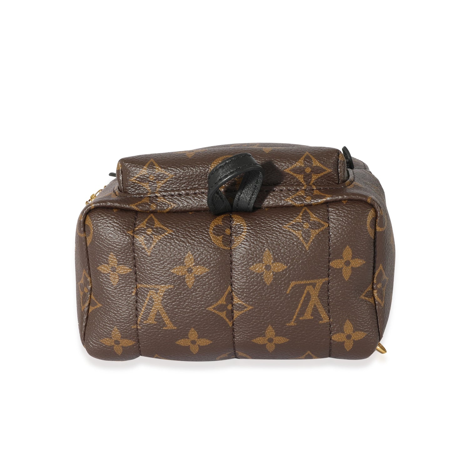 Louis Vuitton Louis Vuitton Monogram Mini Palm Spring Backpack