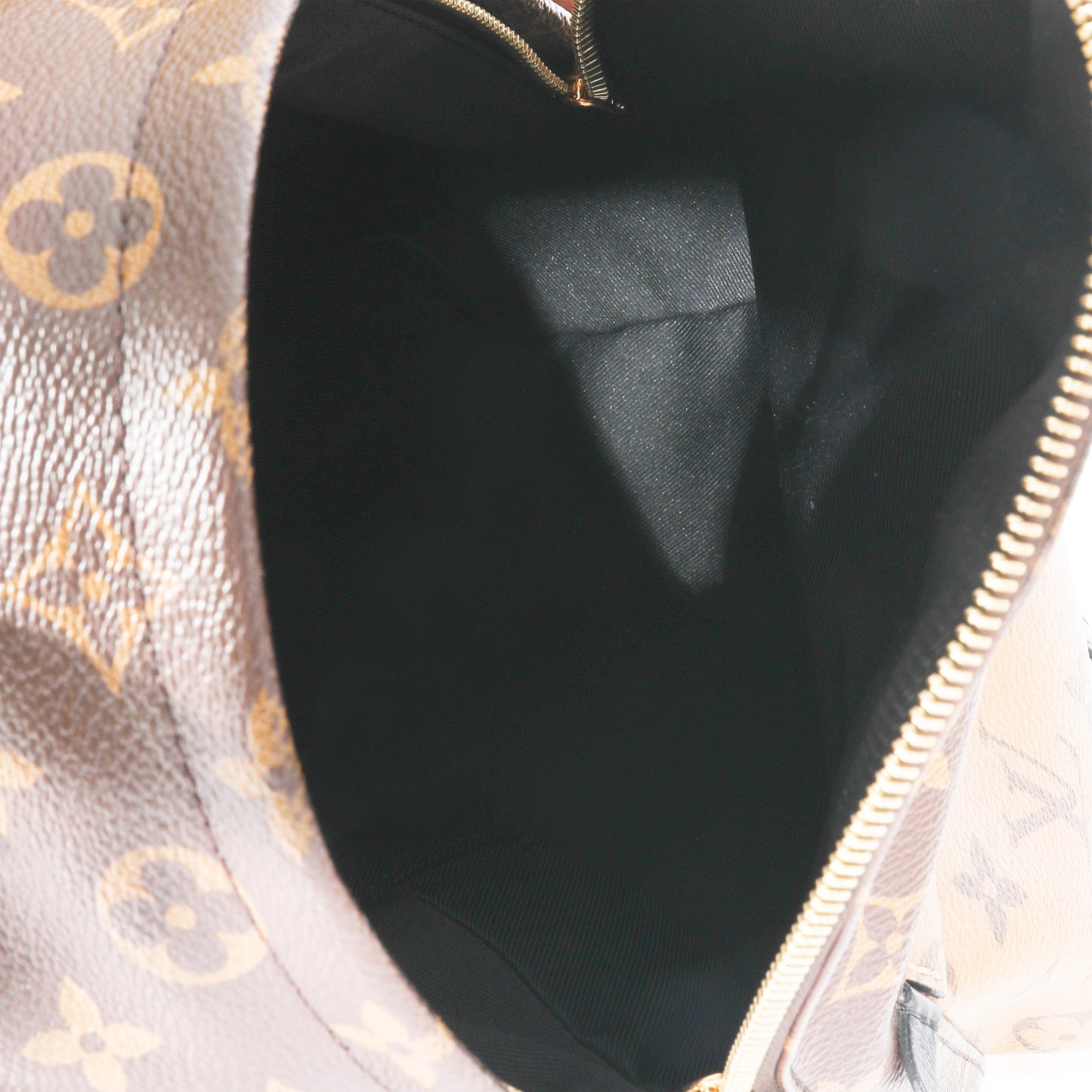 Louis Vuitton Louis Vuitton Canvas Reverse Monogram Palm Spring PM