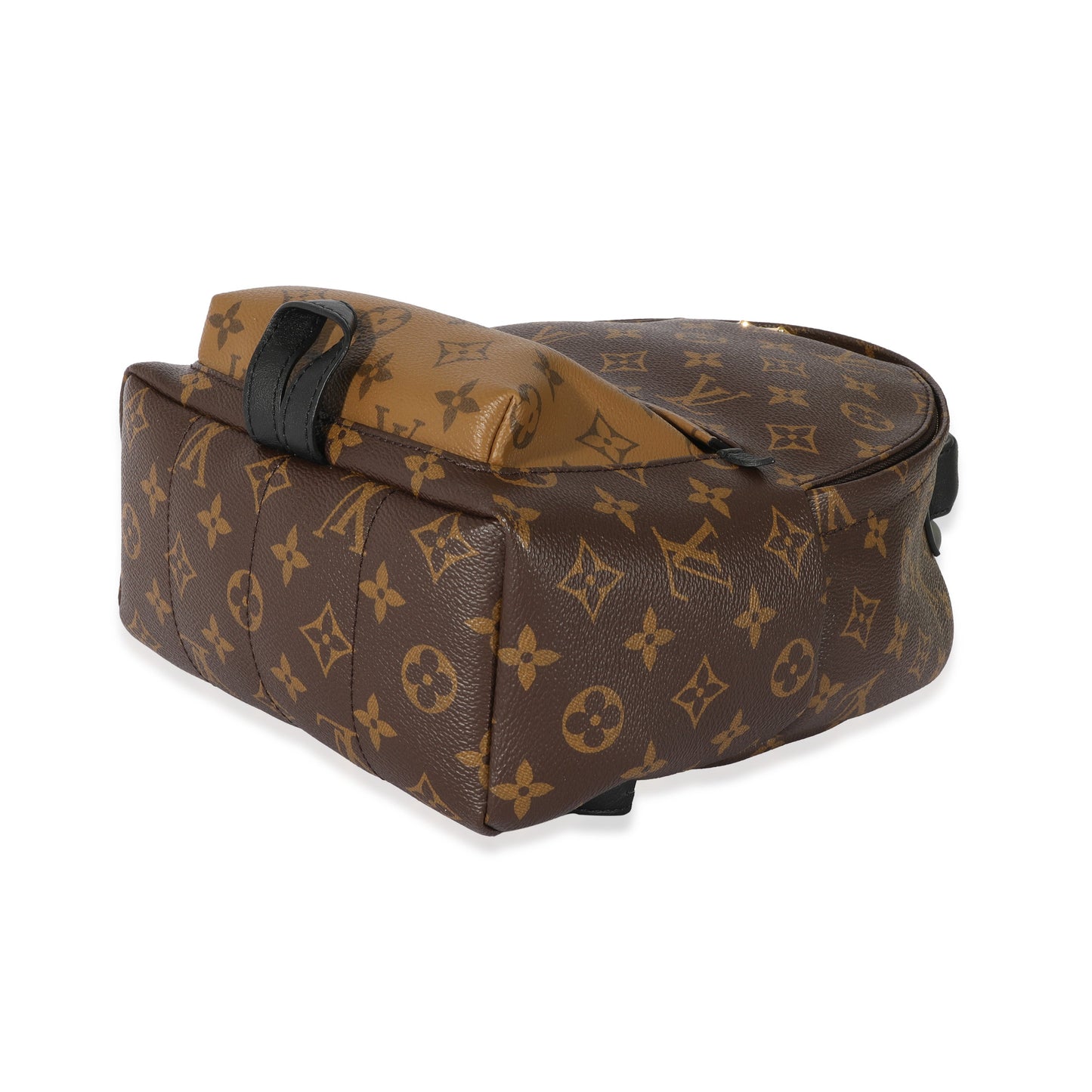 Louis Vuitton Louis Vuitton Canvas Reverse Monogram Palm Spring PM