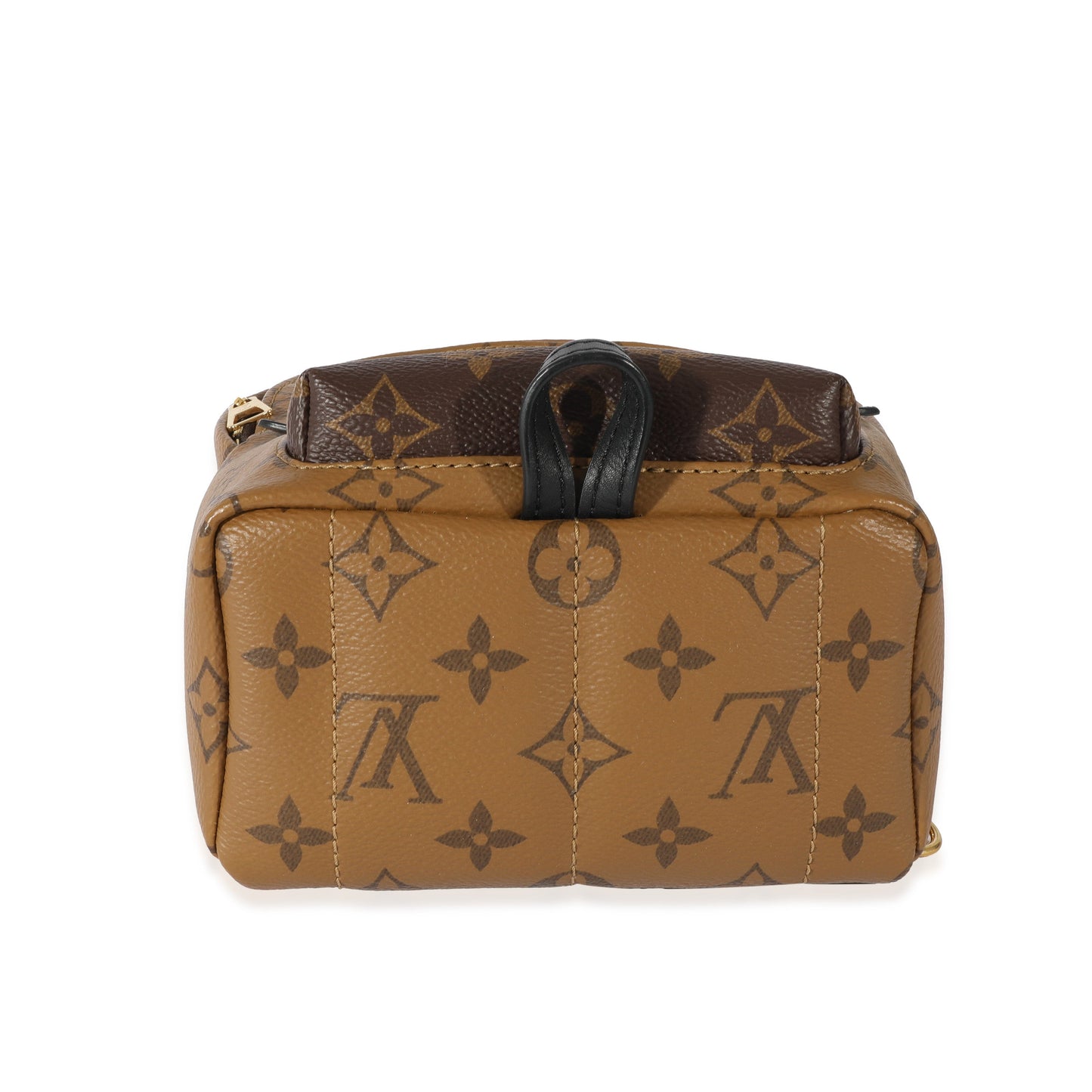 Louis Vuitton Louis Vuitton Canvas Reverse Monogram Palm Springs Mini