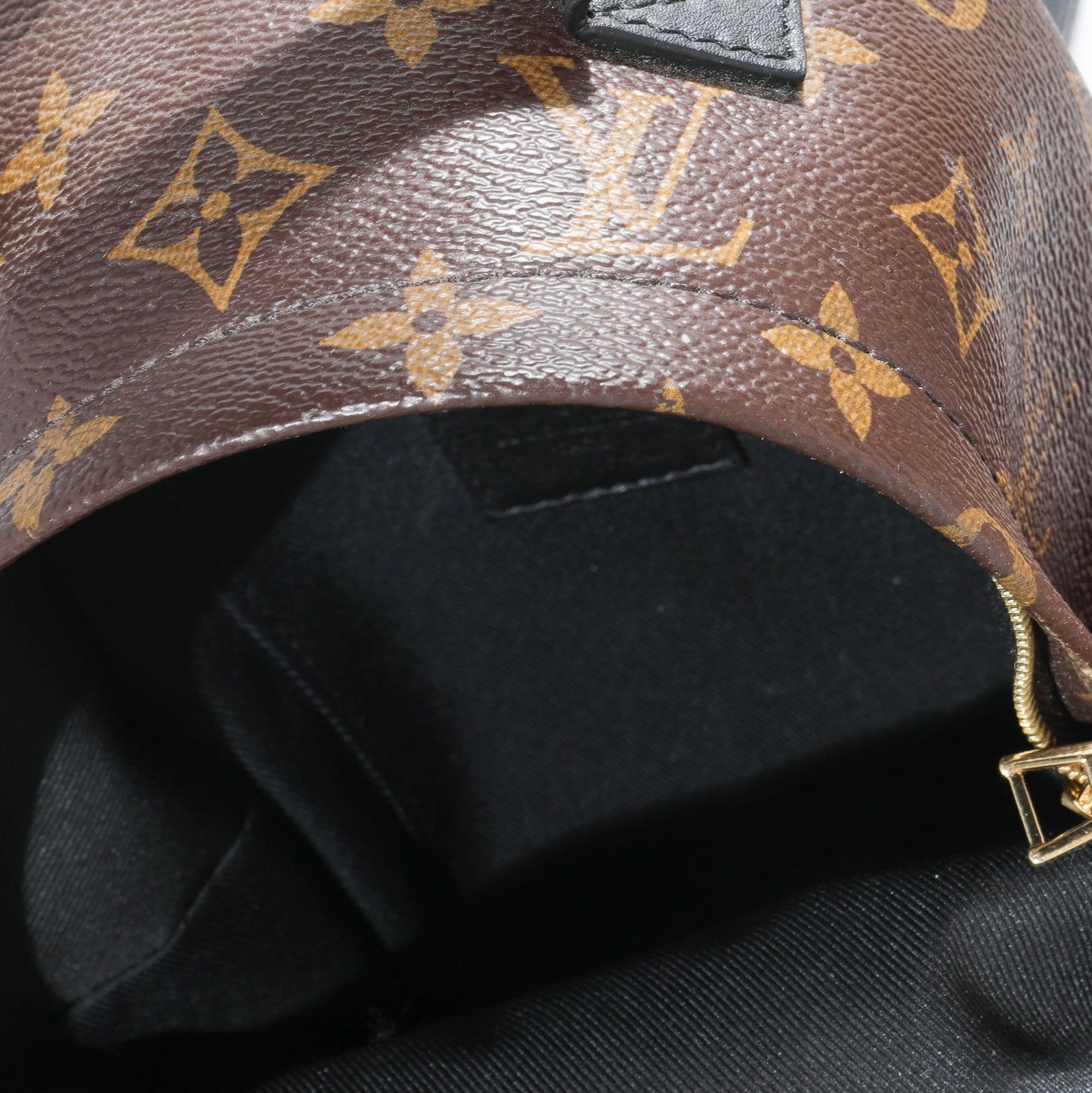 Louis Vuitton Louis Vuitton Monogram Canvas Palm Springs Mini Backpack