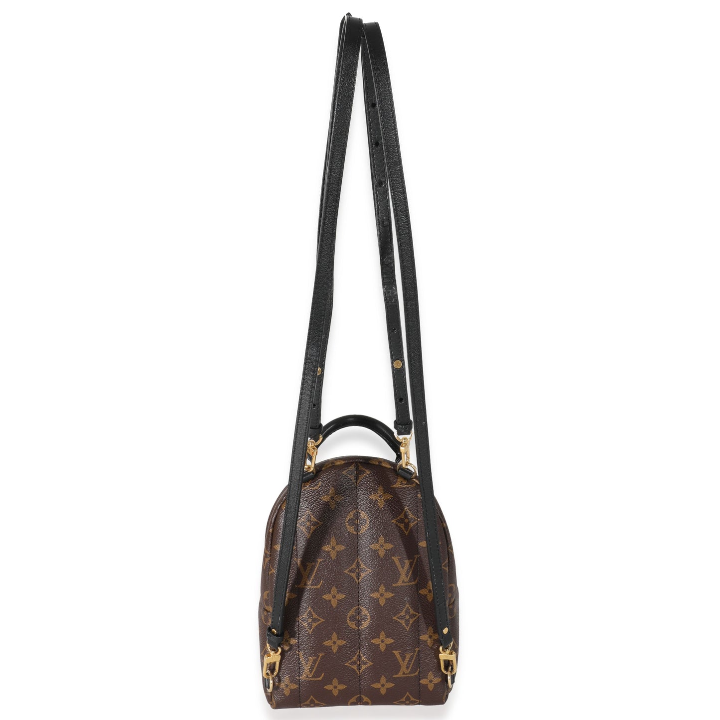 Louis Vuitton Louis Vuitton Monogram Canvas Palm Springs Mini Backpack