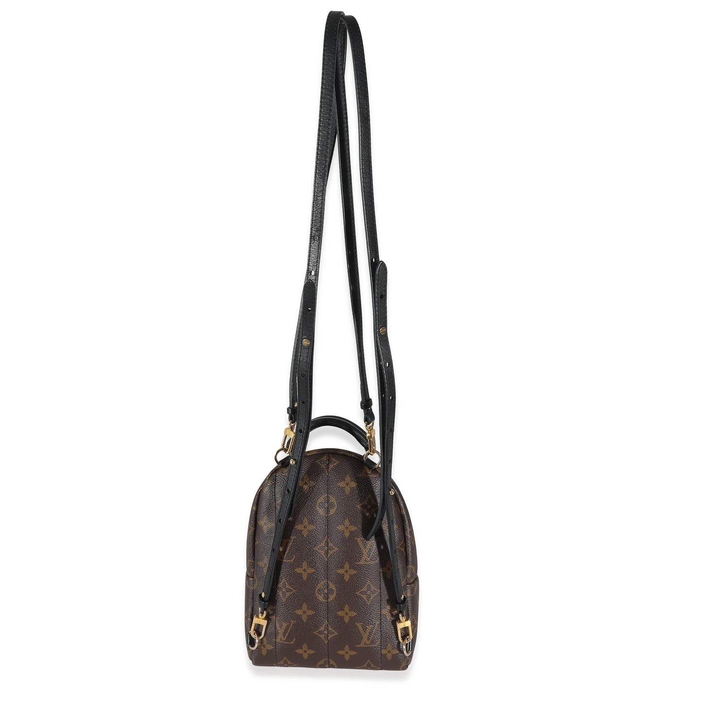 Louis Vuitton  Monogram Canvas Mini Palm Springs