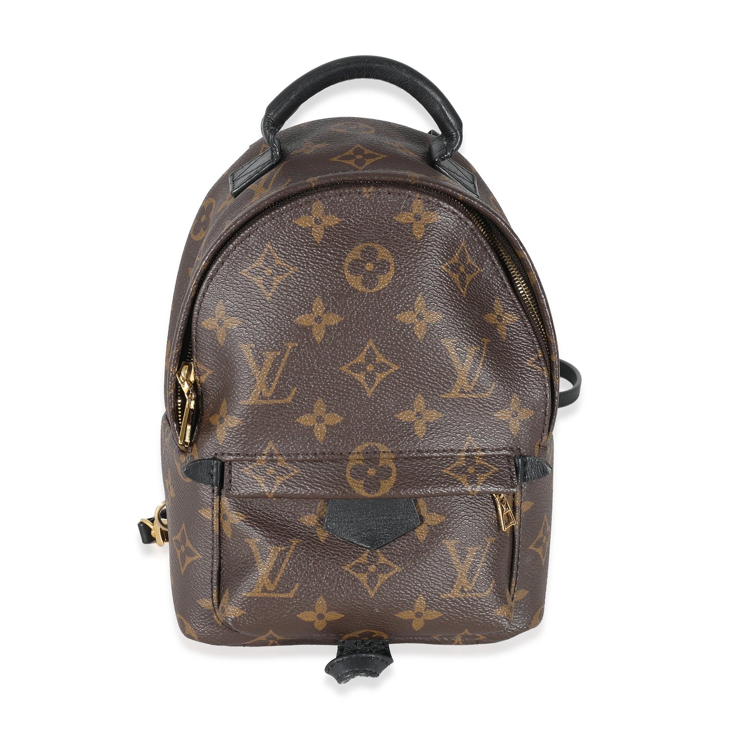 Louis Vuitton  Monogram Canvas Mini Palm Springs