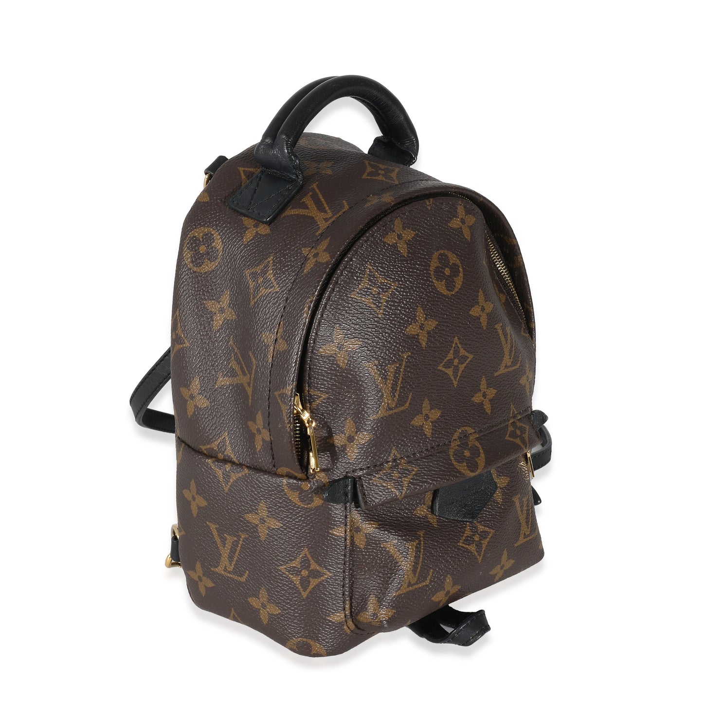 Louis Vuitton  Monogram Canvas Mini Palm Springs