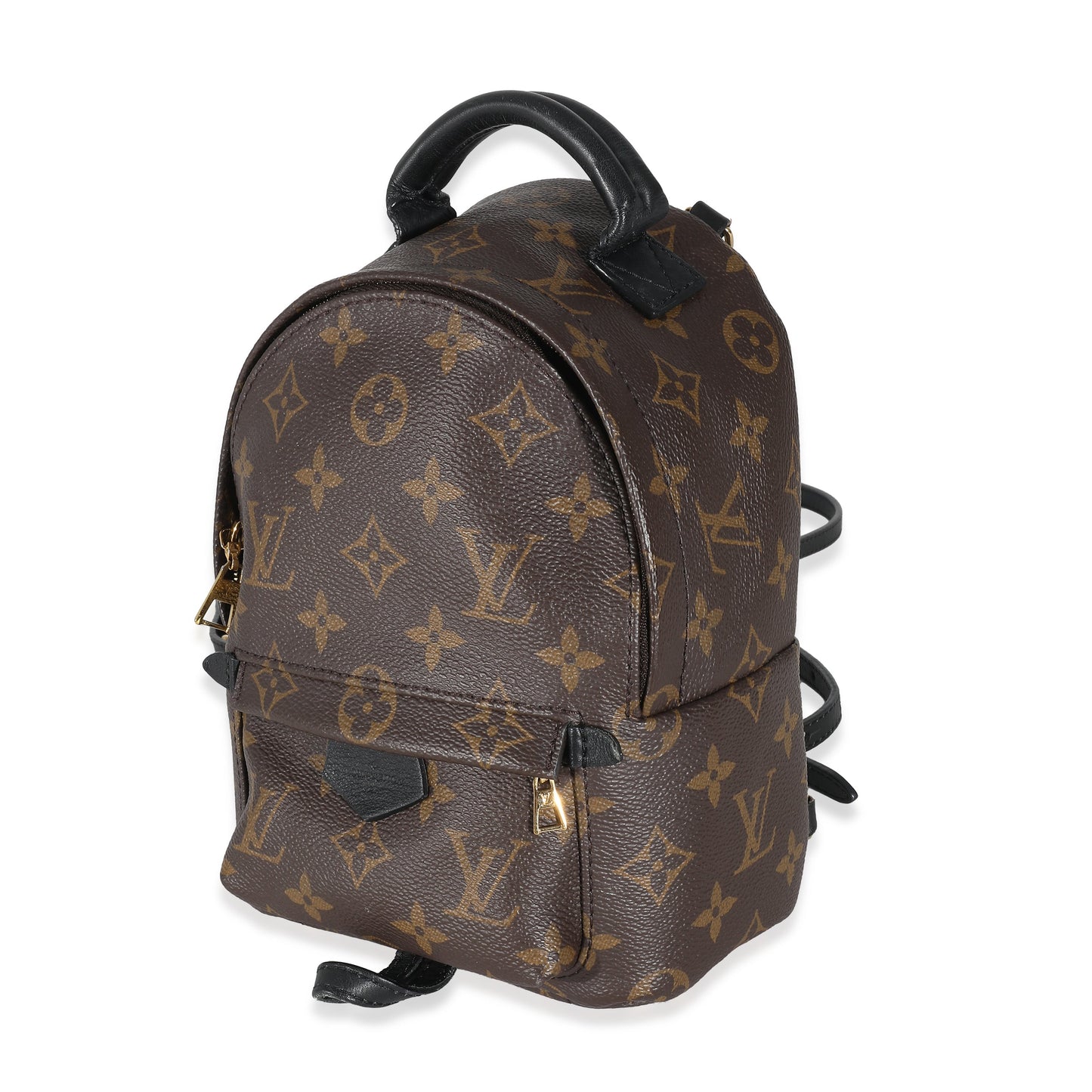 Louis Vuitton  Monogram Canvas Mini Palm Springs