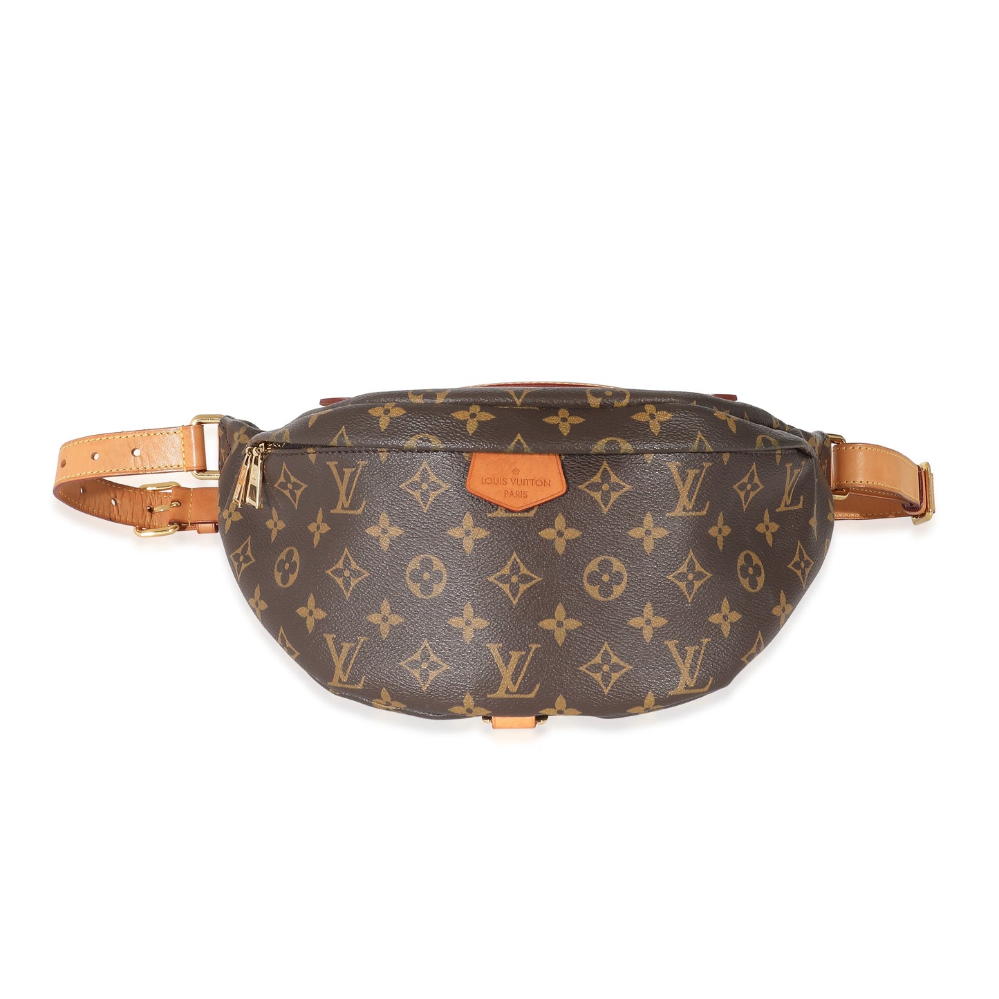 Louis Vuitton Louis Vuitton Monogram Canvas Bumbag