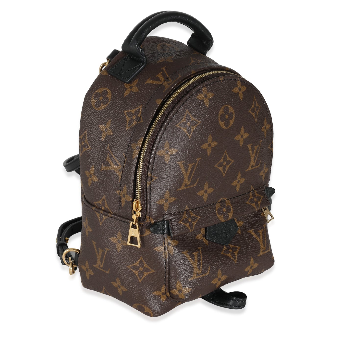 Louis Vuitton Louis Vuitton Monogram Canvas Mini Palm Springs