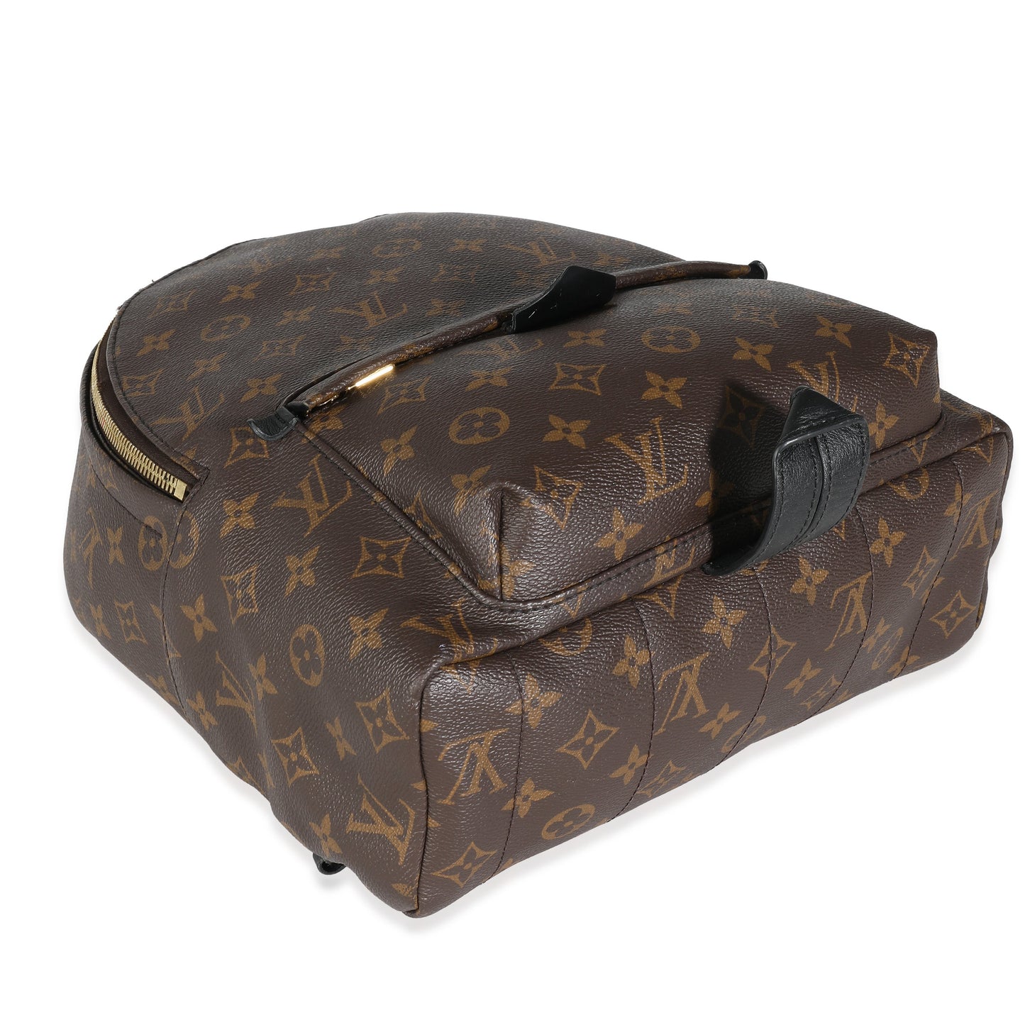 Louis Vuitton Monogram Canvas Palm Springs PM